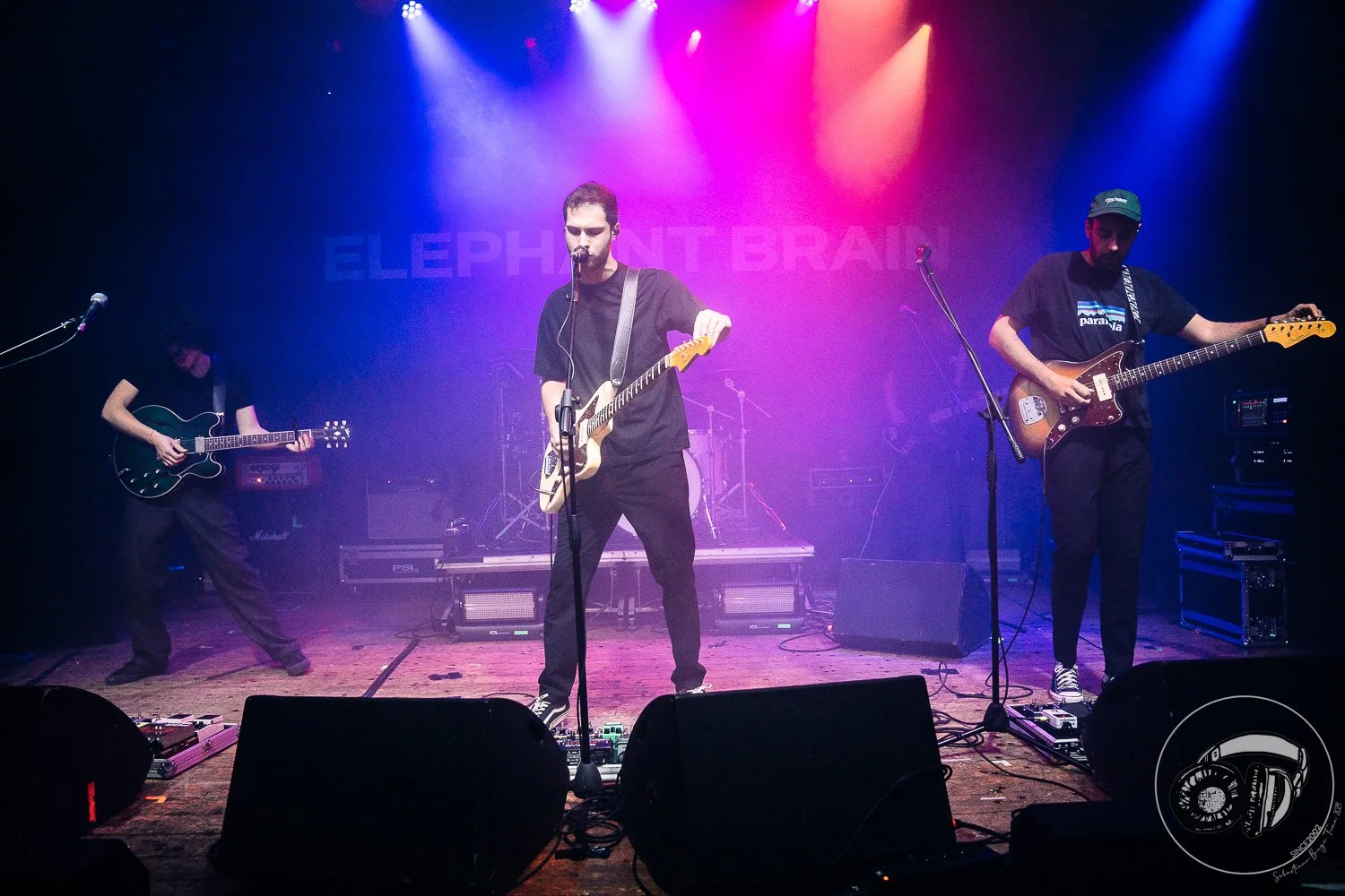15052026-Elephant Brain_TheCage_Sebastiano_12.jpg
