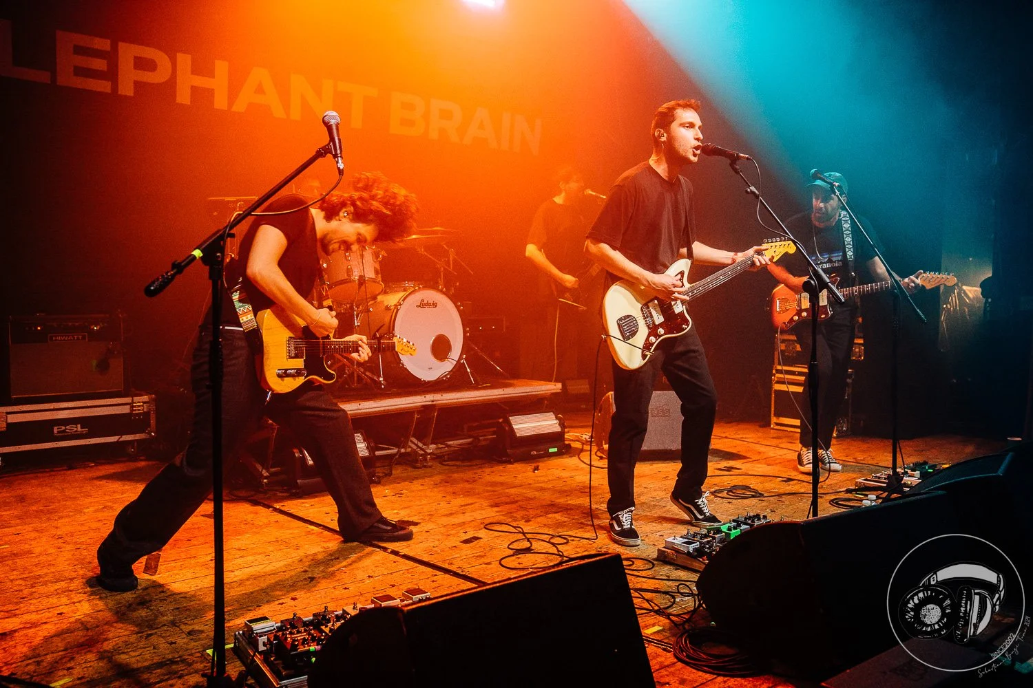 15052026-Elephant Brain_TheCage_Sebastiano_108.jpg