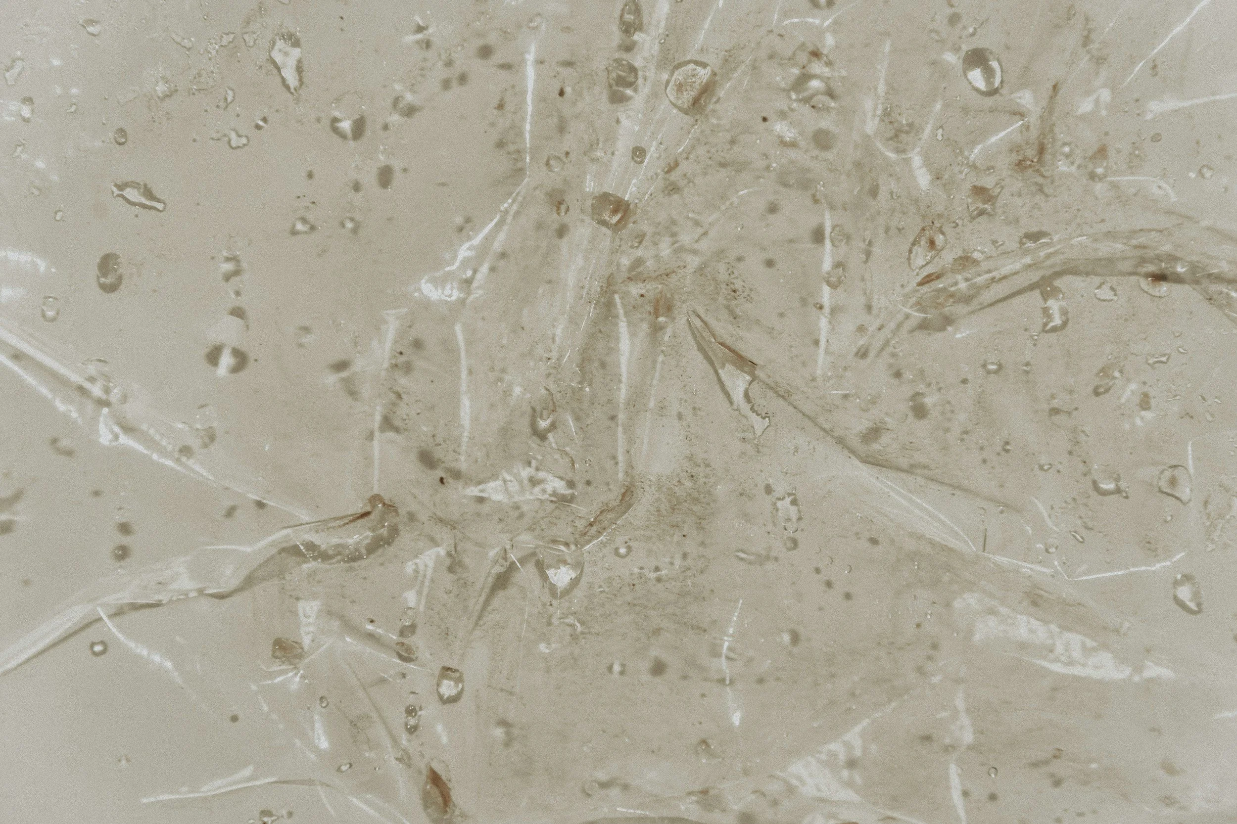 Close-up of broken glass with water droplets and shattered edges.