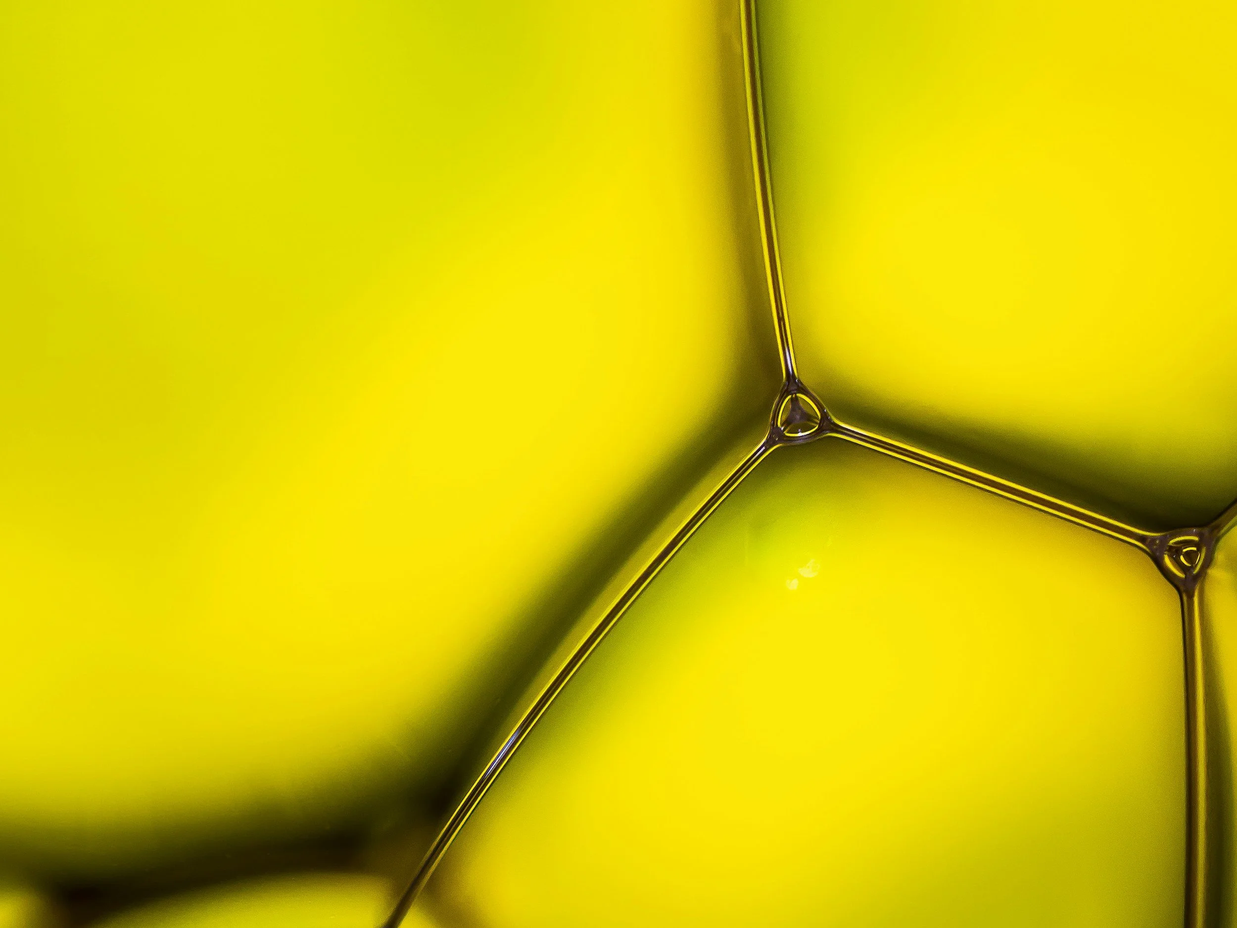 Close-up of a yellow object with thin metallic or plastic lines creating a geometric pattern.