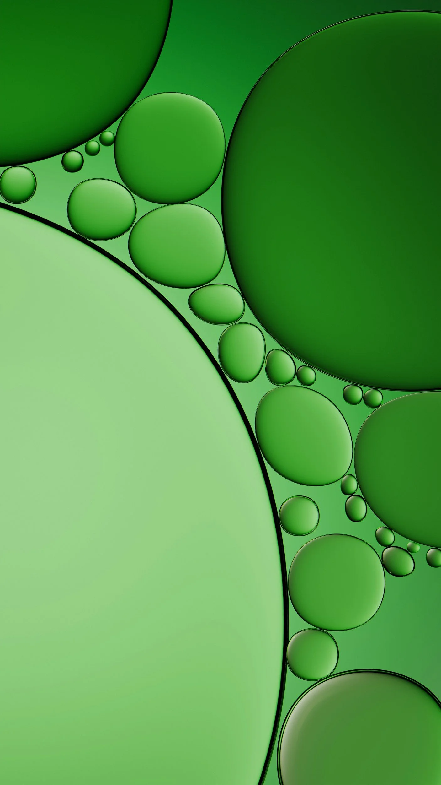 Green abstract background with various sizes of green circles and ovals.