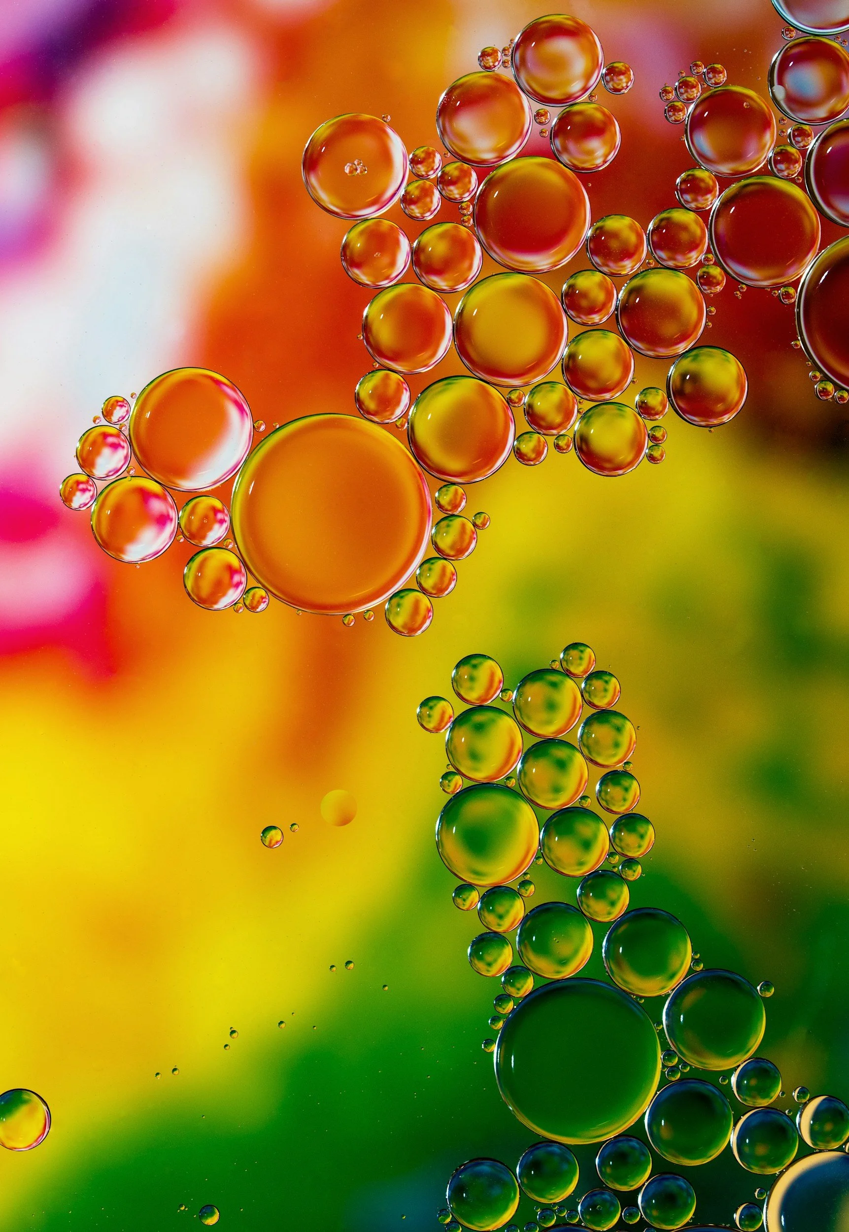 Close-up of colorful oil bubbles in water with vibrant blurred background.