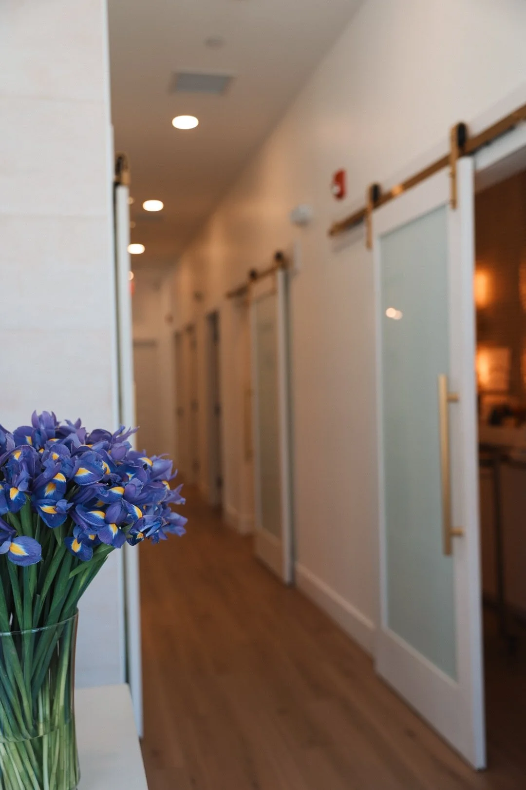 A hallway with frosted glass doors on either side, and a vase of purple irises in the foreground.