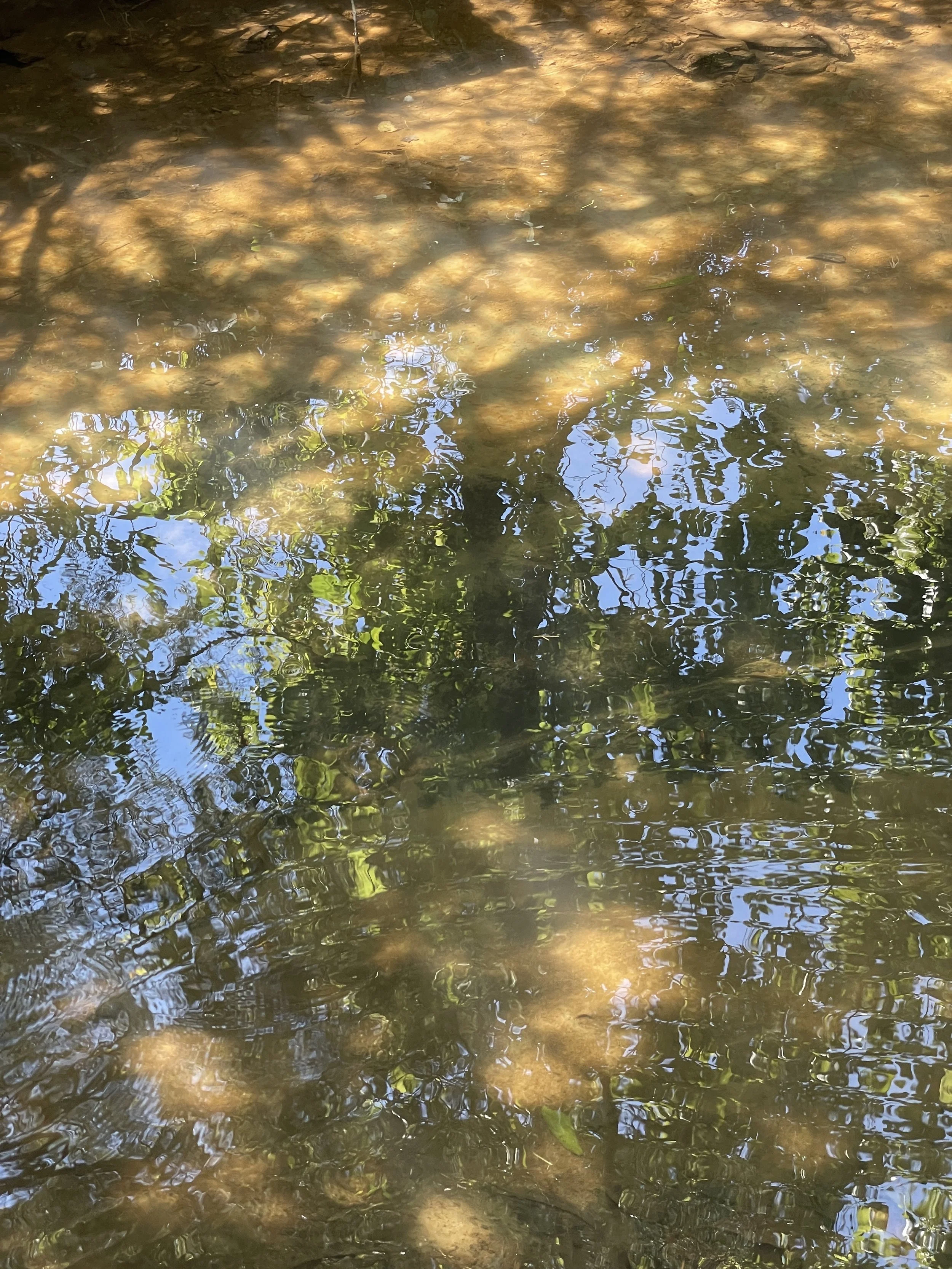 The Bookshop Podcast - Podcast - Apple Podcasts, image size:2500x3333