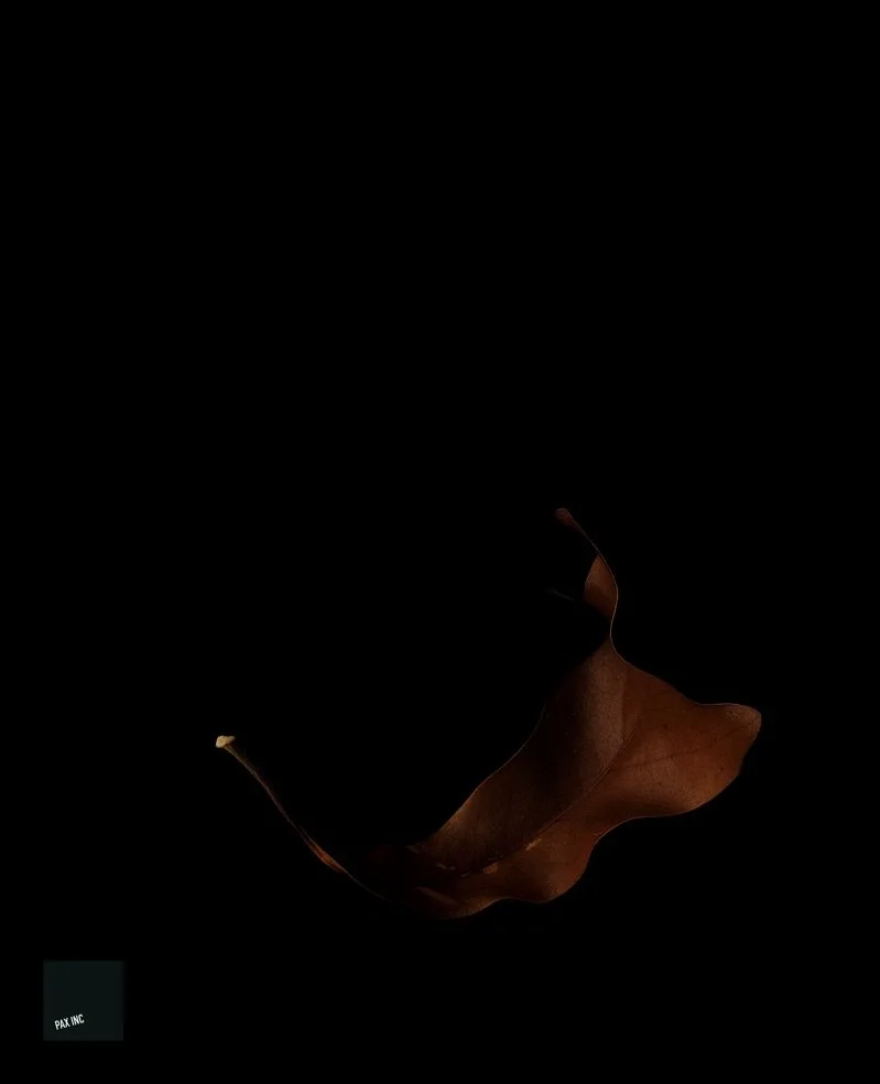 Title: Act I/Scene 3

Description: Teague takes his rest