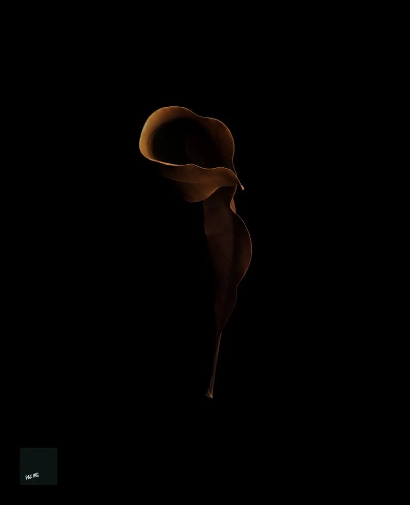 Title: Act II/Scene 3

Description: Surrender each loss