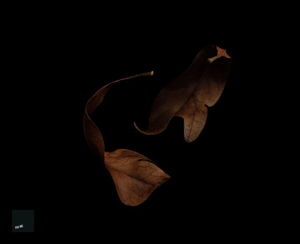 Title: Act IV/Scene 2

Description: Irreconcilable differences