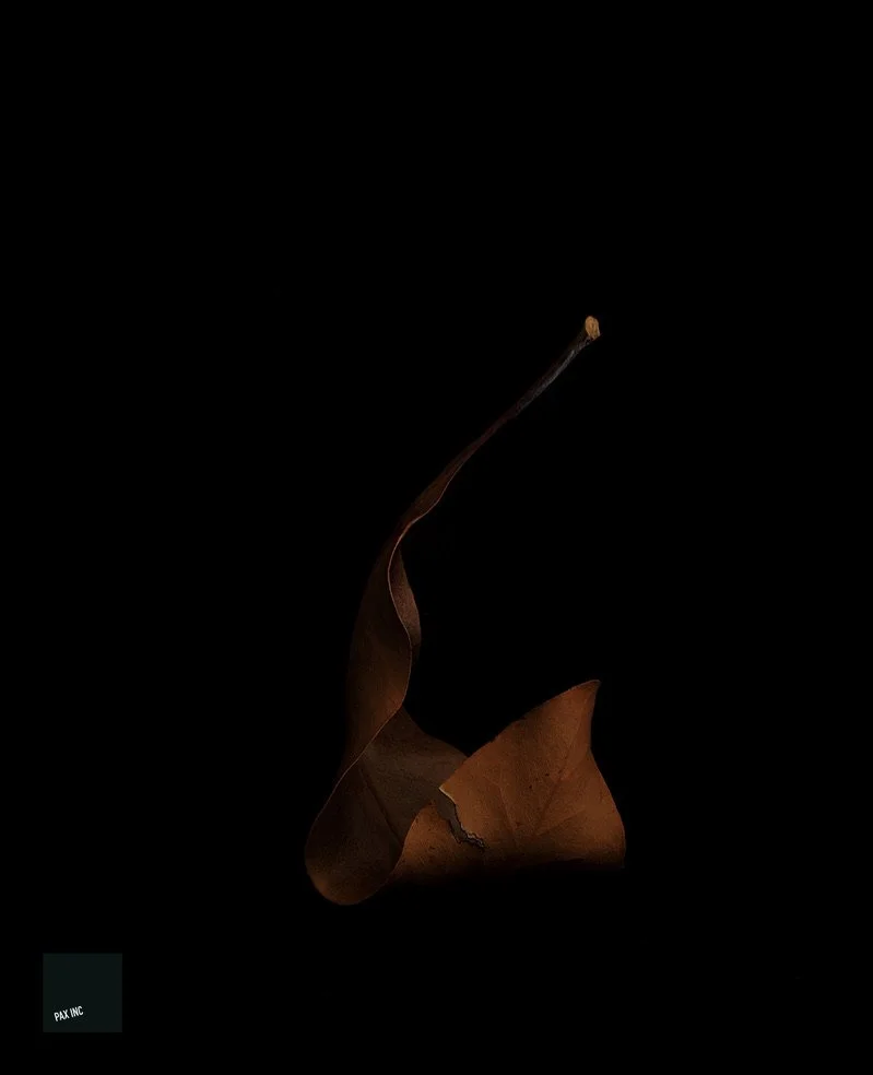 Title: Act III/Scene 3

Description: Keel