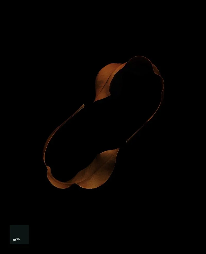 Title: Act III/Scene 2

Description: Retribution