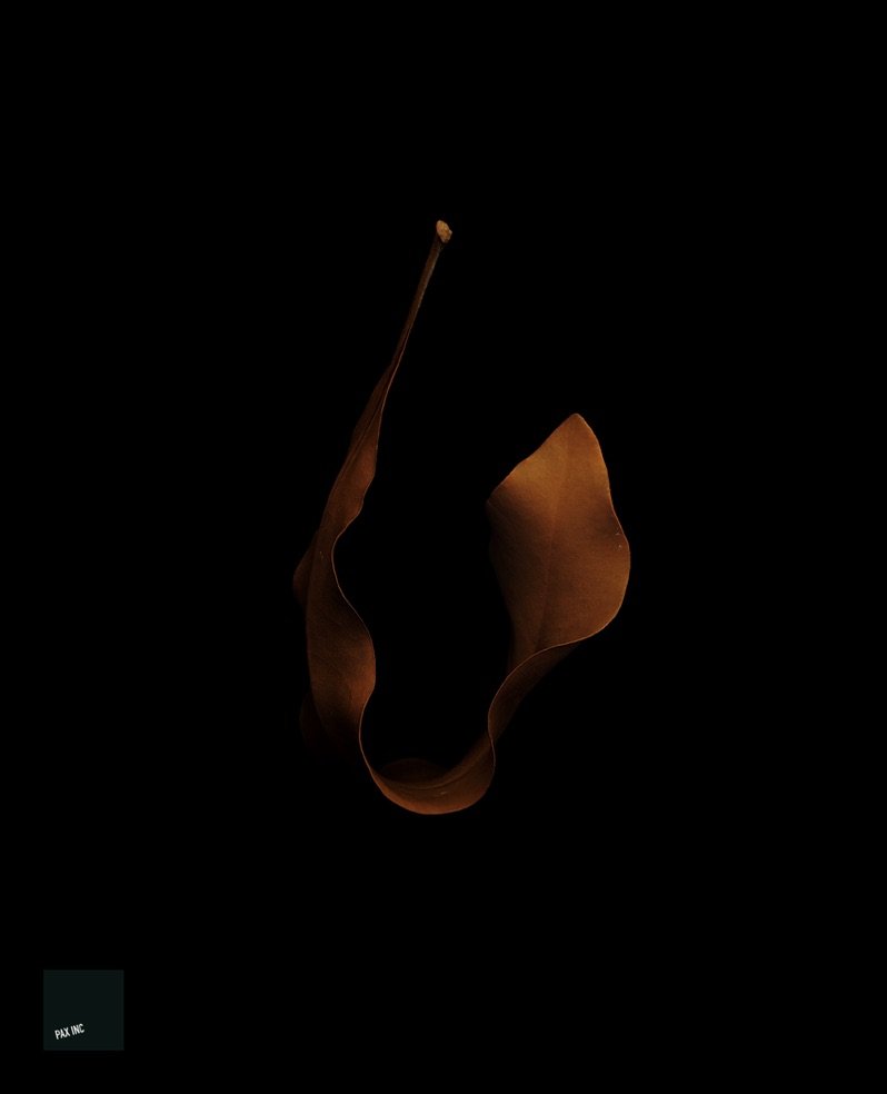 Title: Act III/Scene 1

Description: Teague's great toil