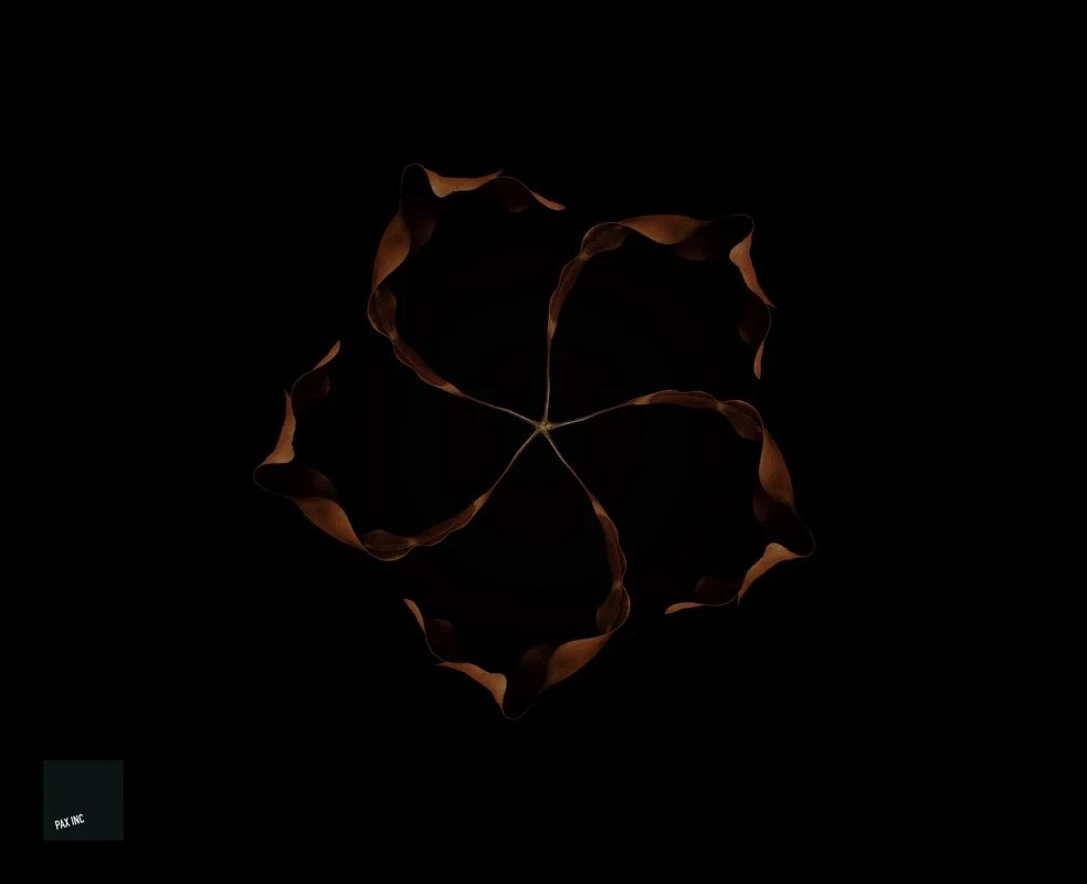 Title: Act II/Scene 2

Description: Rapture