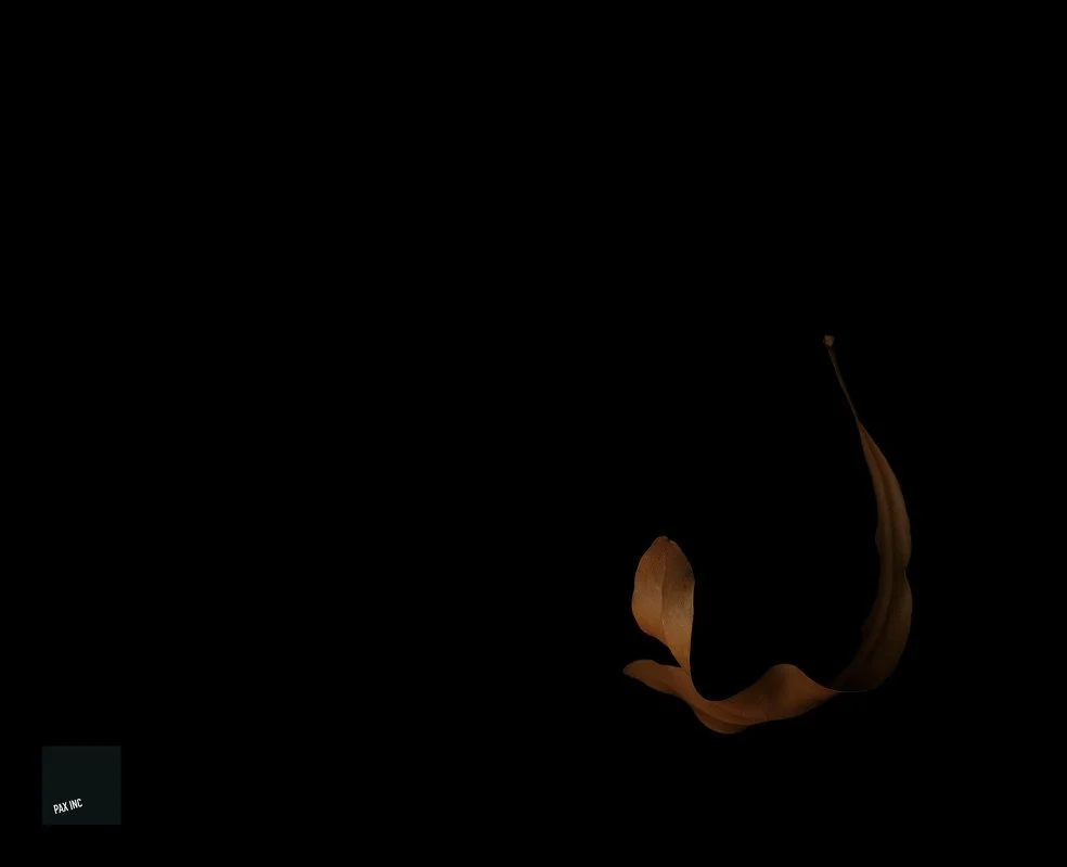 Title: Act IV/Scene 3

Description: Sit down shrew, be humble