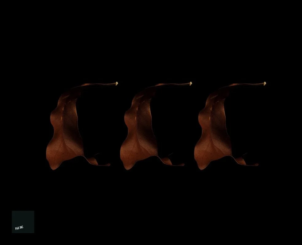 Title: Act I/Scene 2

Description: The three signs of sorrow