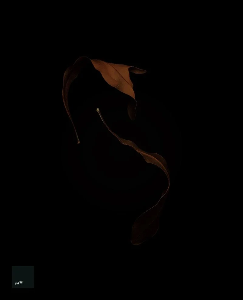 Title: Act IV/Scene 4

Description: Adieu | Adieu