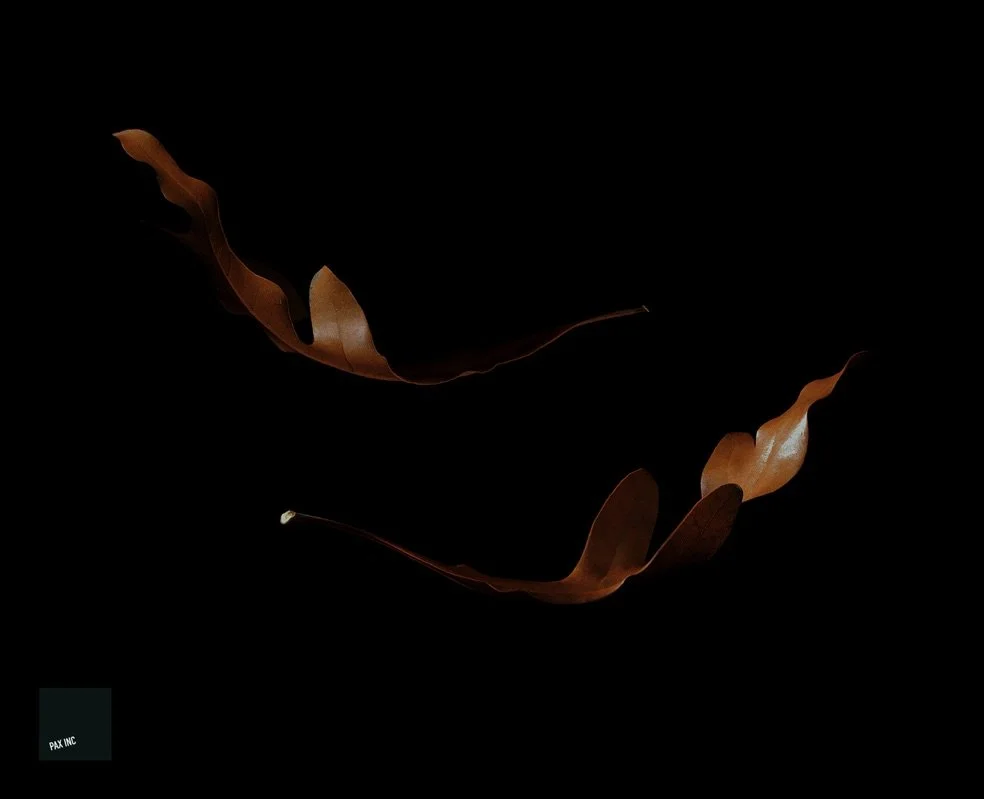 Title: Act III/Scene 4

Description: To love, to hate .. to hold on