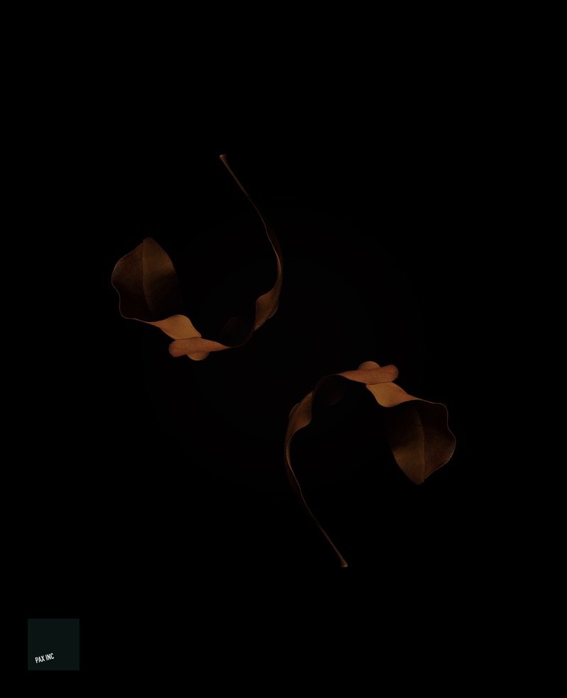 Title: Act II/Scene 4

Description: With bitter opposition