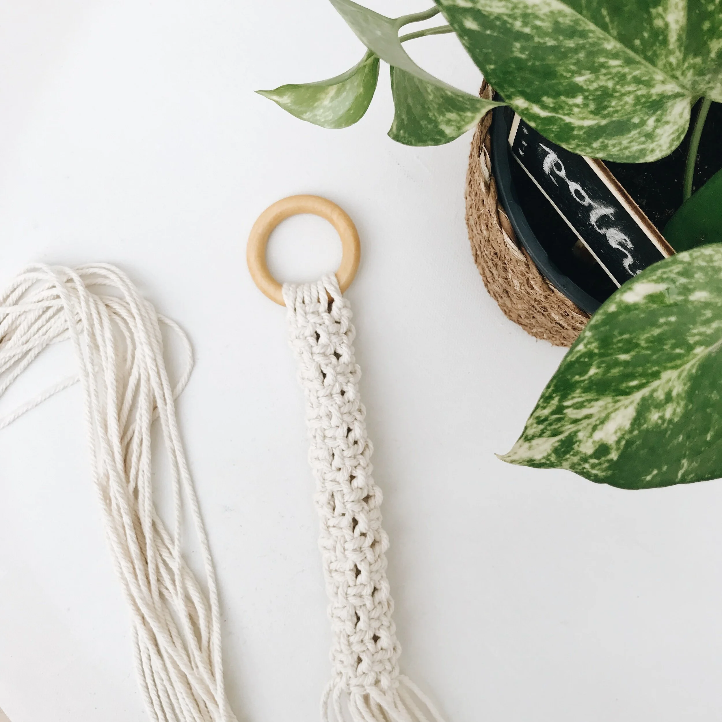 Plant and Macrame Workshop