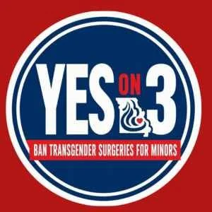 Help Pass Amendment 3 By Canvassing
