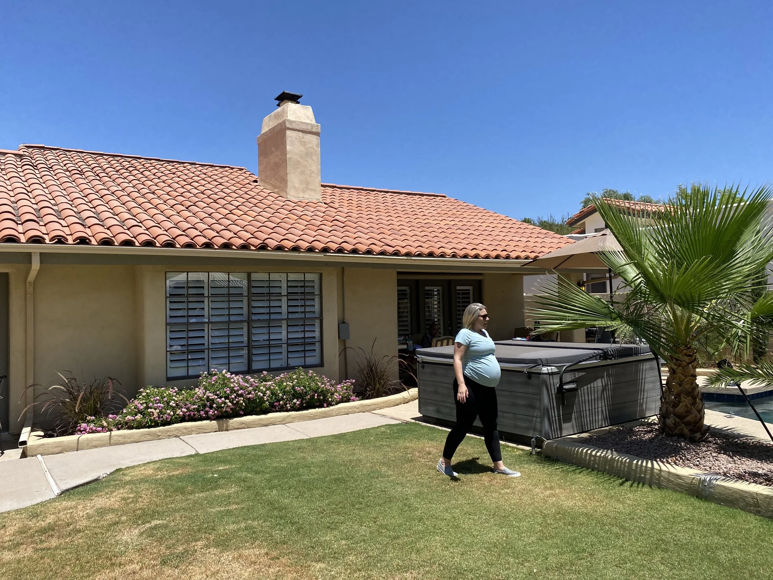 Existing Backyard, prior to renovation and addition of Pergola