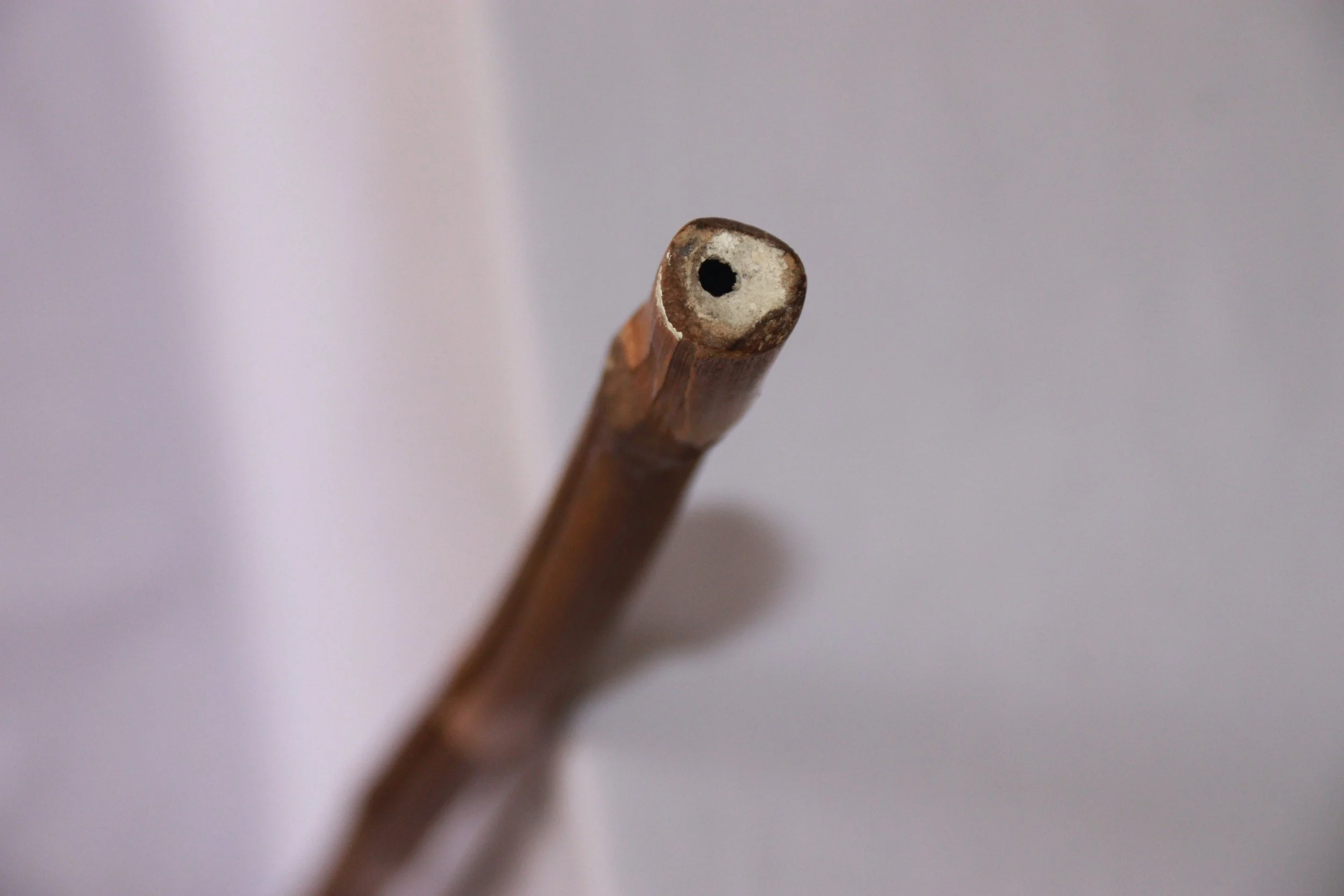 archive number: r-2-004
object reference: Kattong
origin: Banda 
date: - 
notes: A split length of bamboo serving as clamps for fallen walnuts and nutmeg, so that people don't have to bend over and collect it. To this day, anyone can take fallen frui