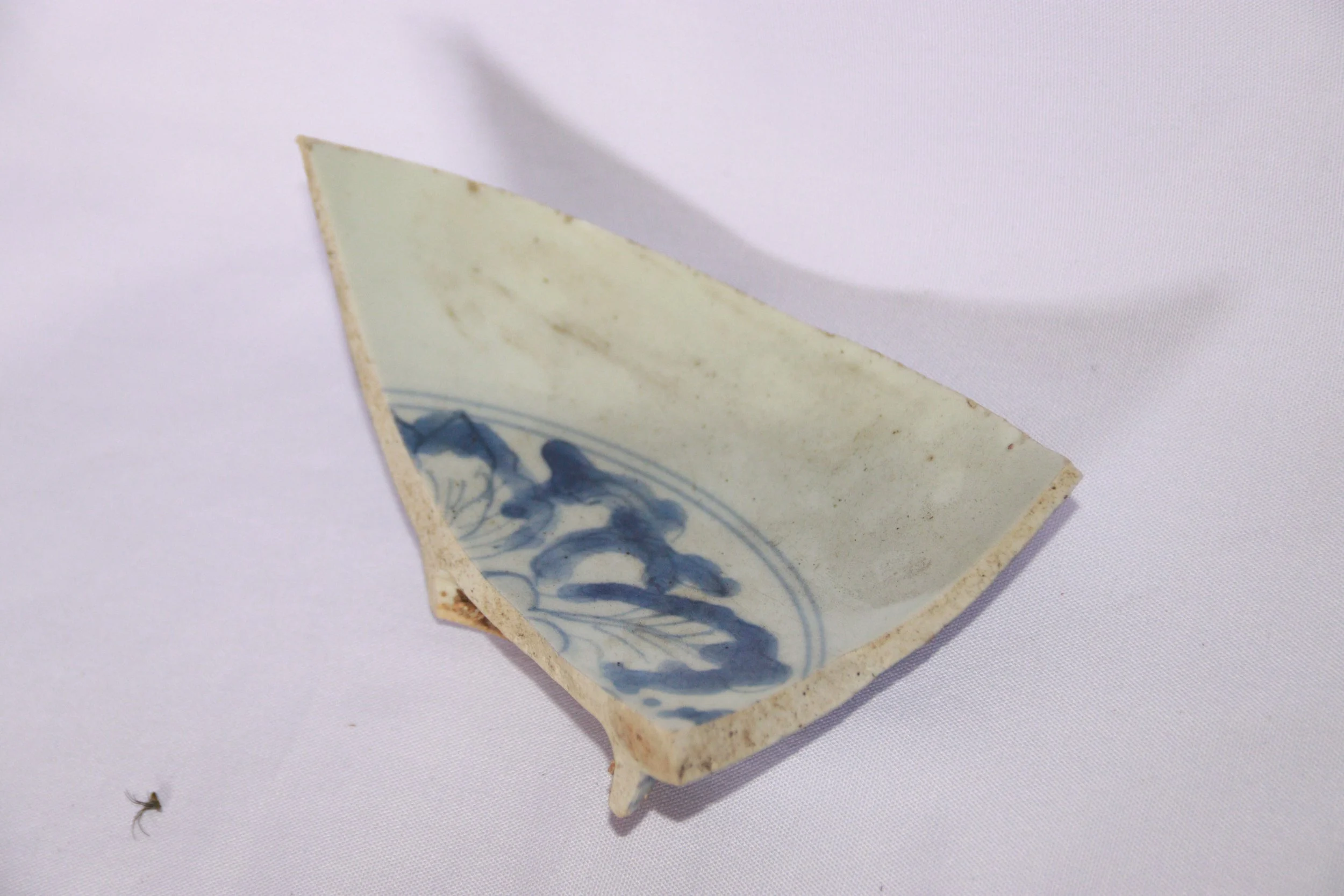 archive number: r-2-026
object reference: 
Plate Fragments
origin: -
date: -
notes: These ceramic fragments are of unknown origin, but their style suggests Chinese, Vietnamese or other East Asian influences