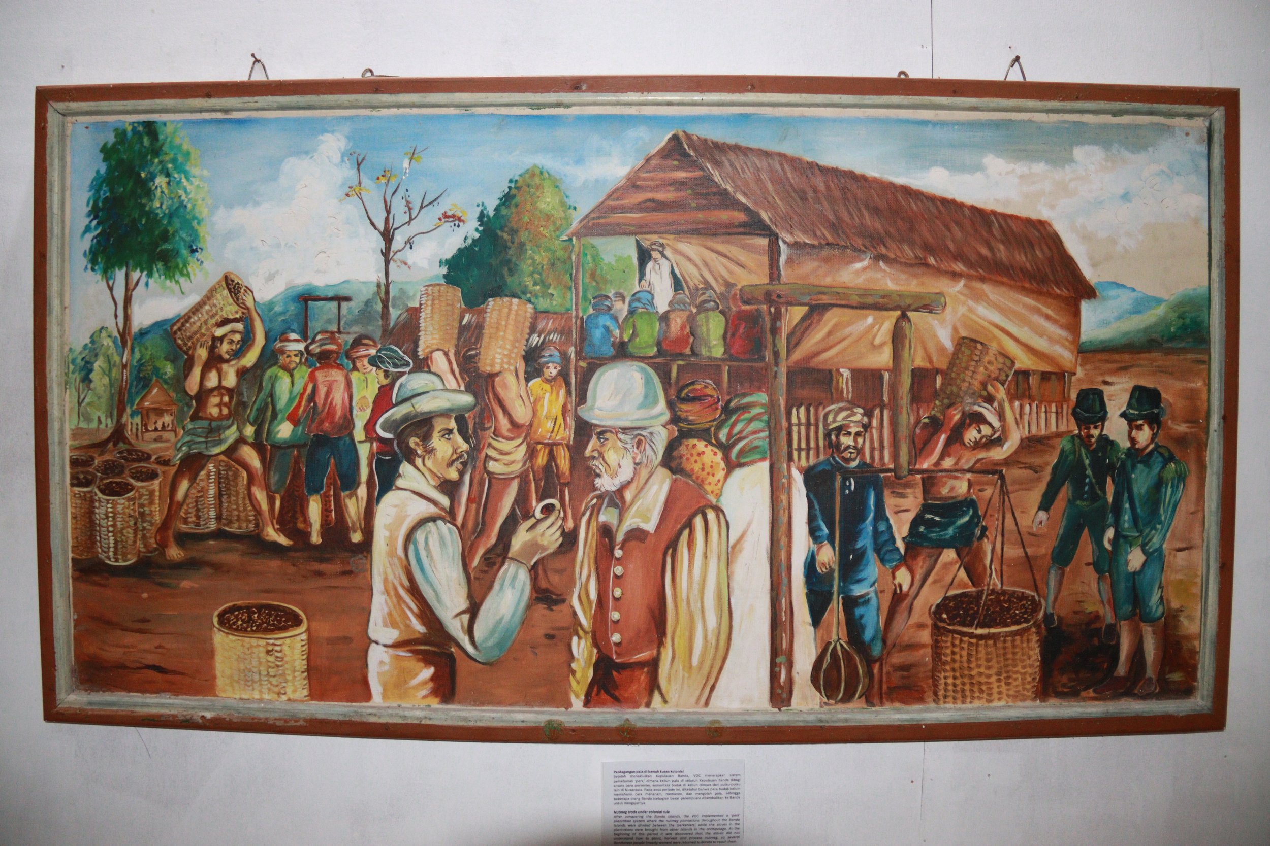 archive number: r-3-002
object reference: 
Nutmeg trade under colonial rule
origin: Banda 
date: - 
notes: After conquering the Banda Islands, the VOC implemented a 'perk' plantation system where the nutmeg plantations throughout the Banda Islands we