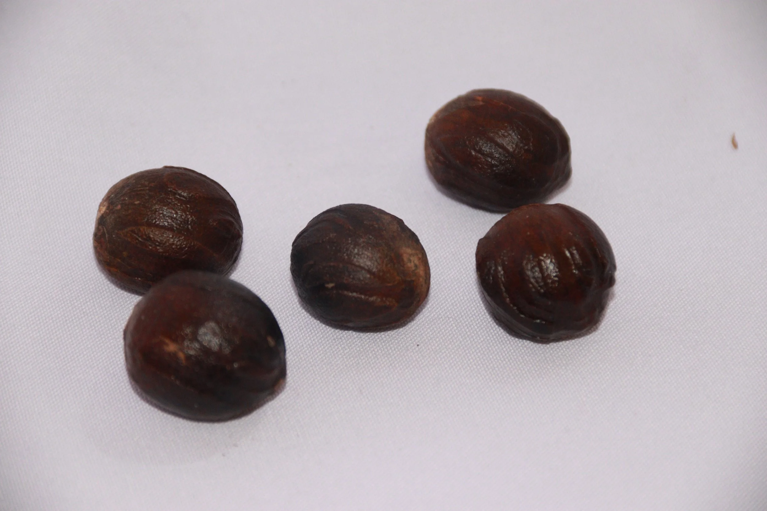 archive number: r-1-008
object reference: 
Nutmeg seeds (dried)
origin: Banda
date: -
notes: Although the spice trade had yet to reach its peak, Banda’s native nutmeg was already an important commodity in ancient times.