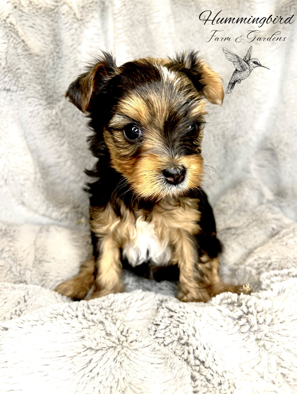 Screenshot 2023-08-14 at 9.00.25 AM.PNG