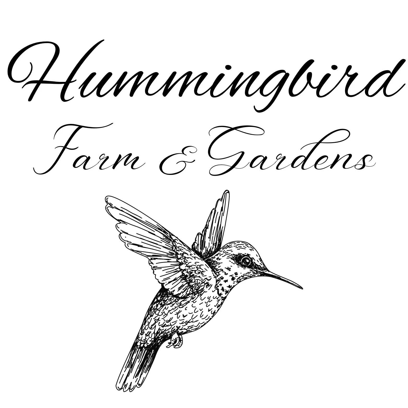 Available Puppies Hummingbird Farm Gardens Available Puppies Hummingbird Farm Gardens