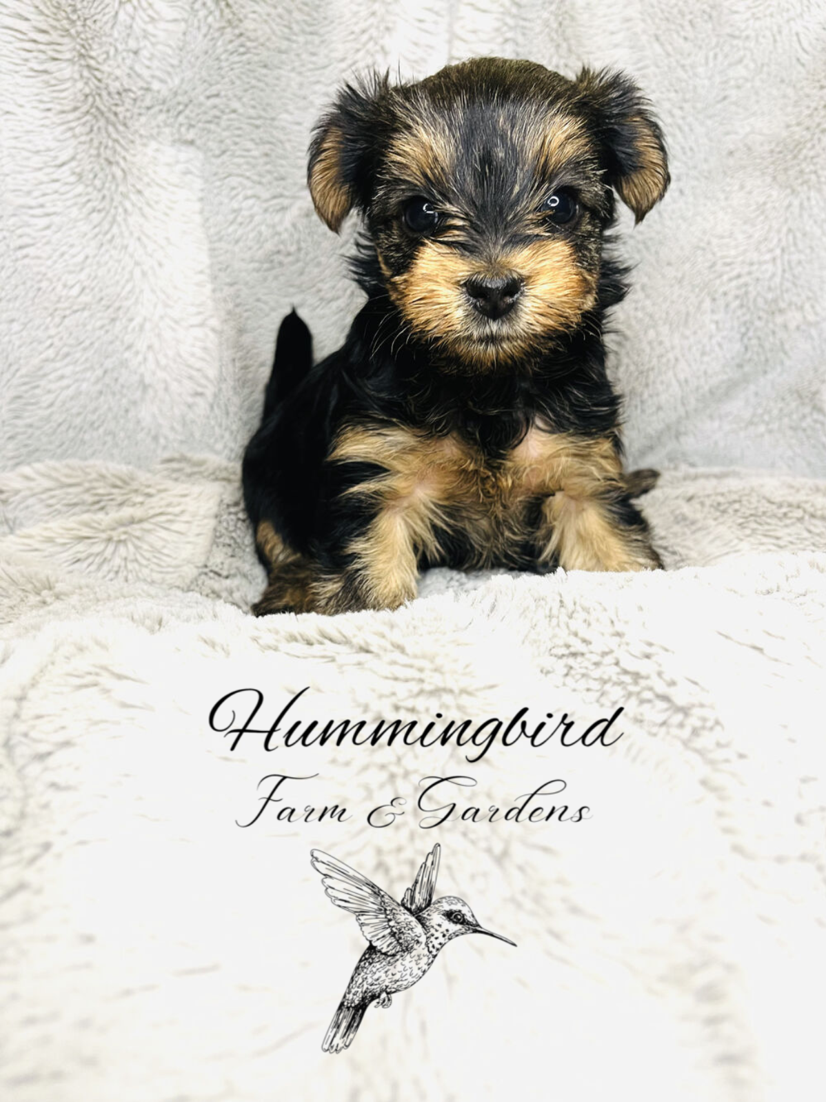 Screenshot 2023-08-14 at 9.01.29 AM.PNG