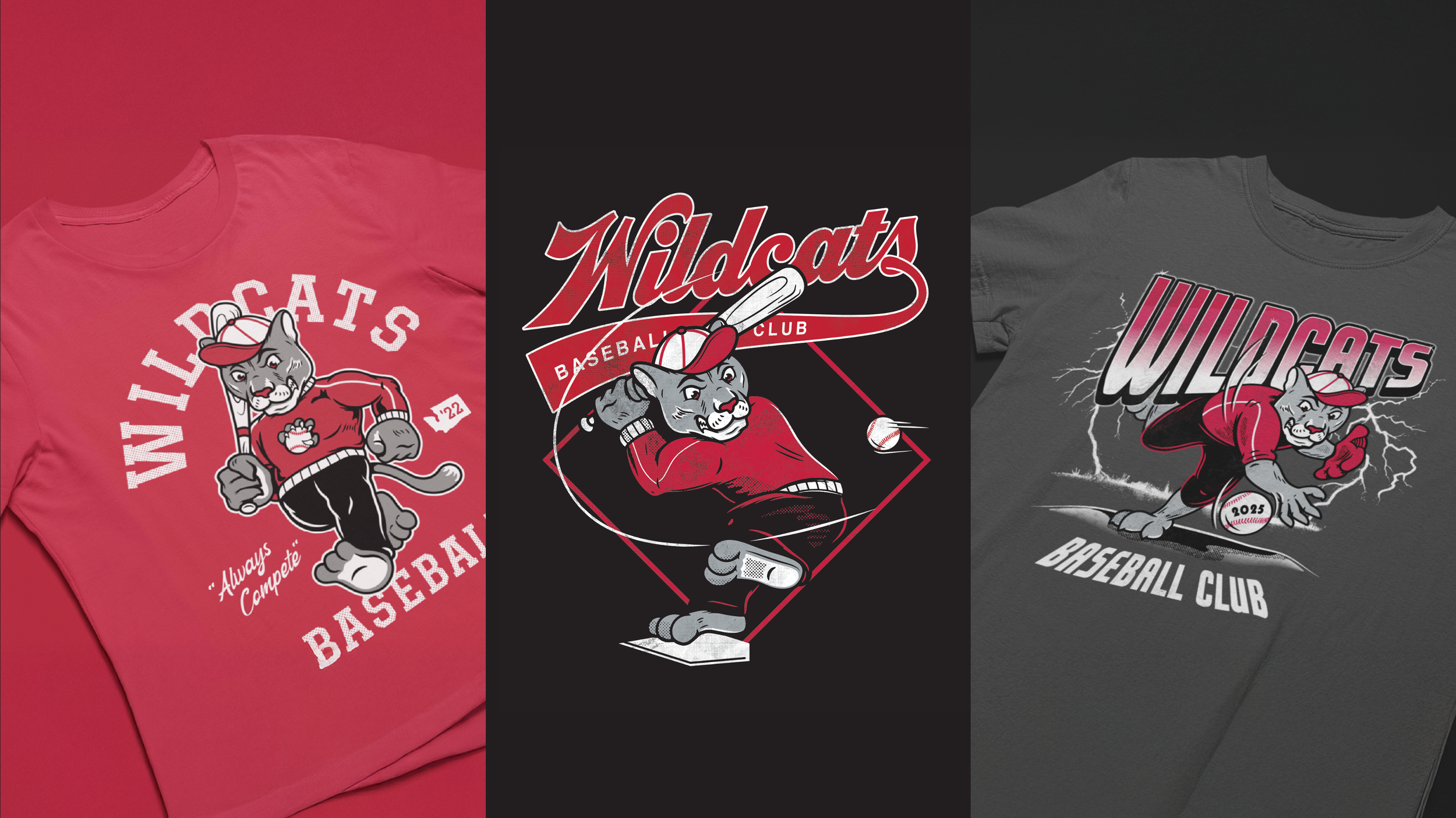 Project-Wildcats.png