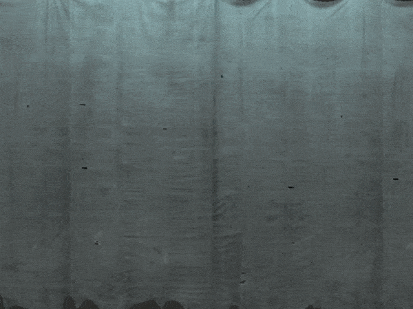 TrickorTreat_EDMHeader_1200x900px_01textured (1).gif