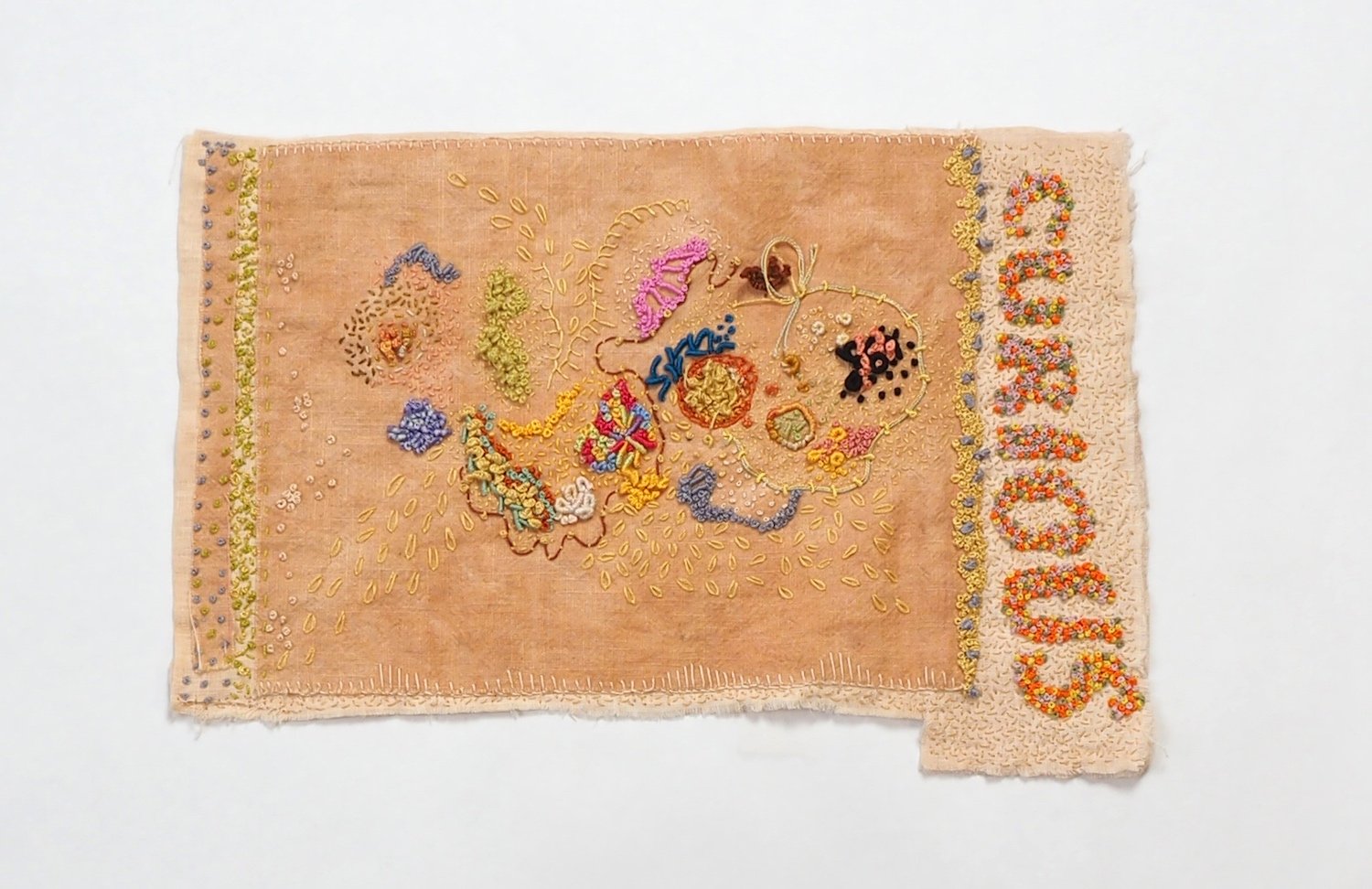 Book of feeling: Curiosity (page), 2021. Embroidery on onion skin dyed silk organza and linen. 380mm x 260mm. Photograph Jae Criddle.