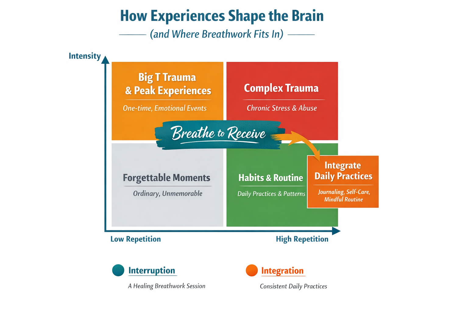 How Experiences Shape the Brain (and Why Breathwork Creates Real Change)