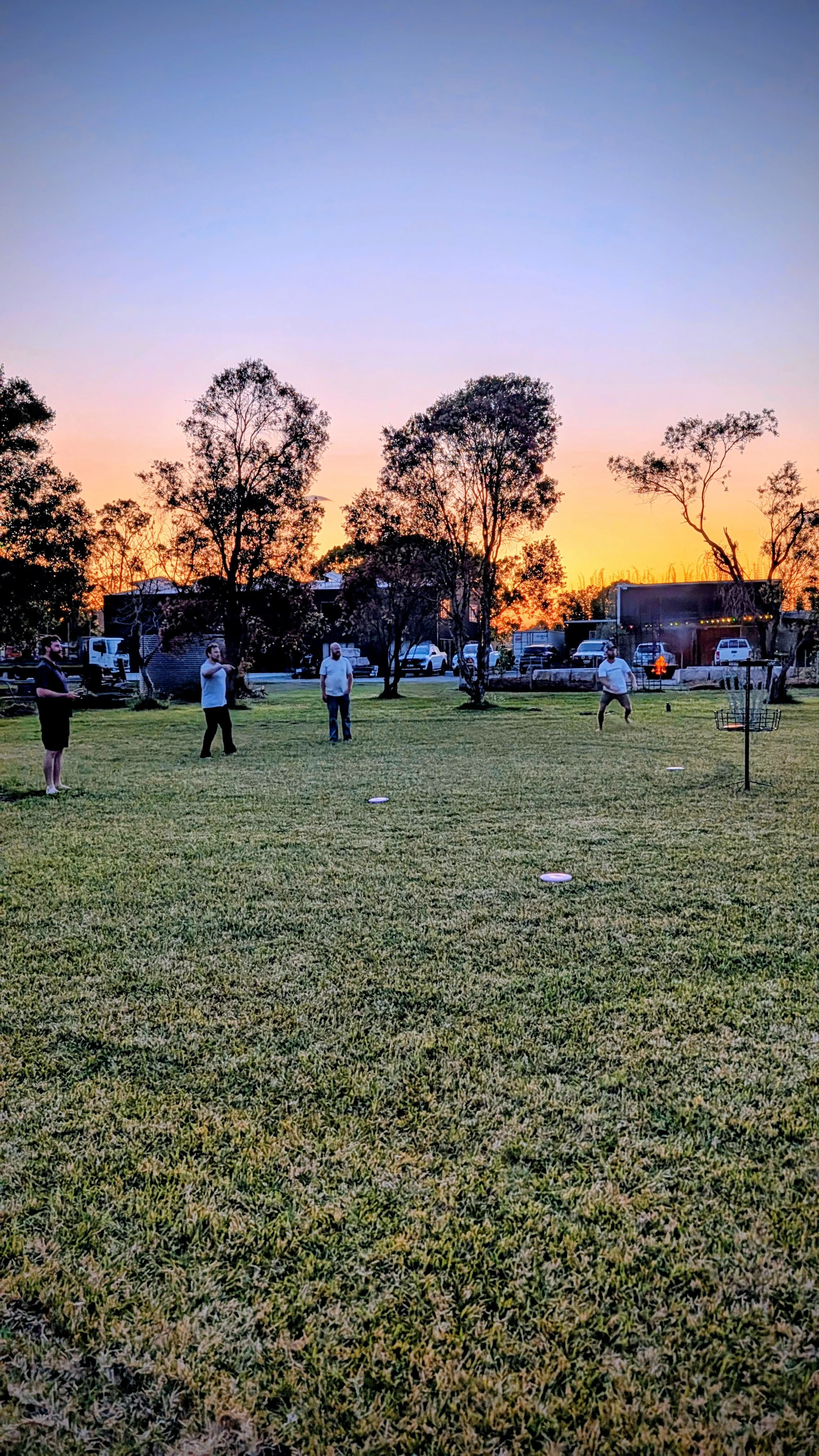 People playing disc golf at sunset in a park with trees, cars, and a building in the background.