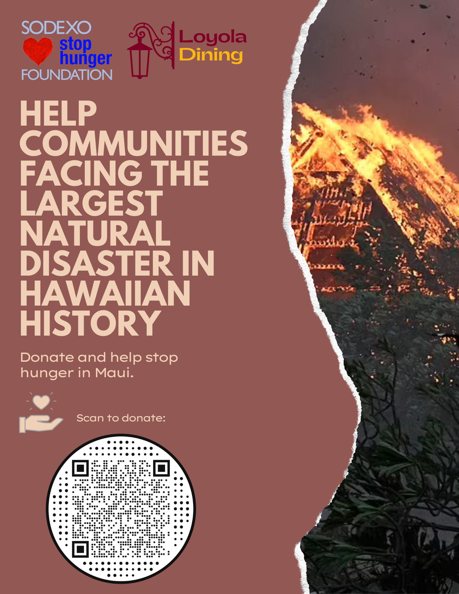 Hawaii Donation Flyer.png
