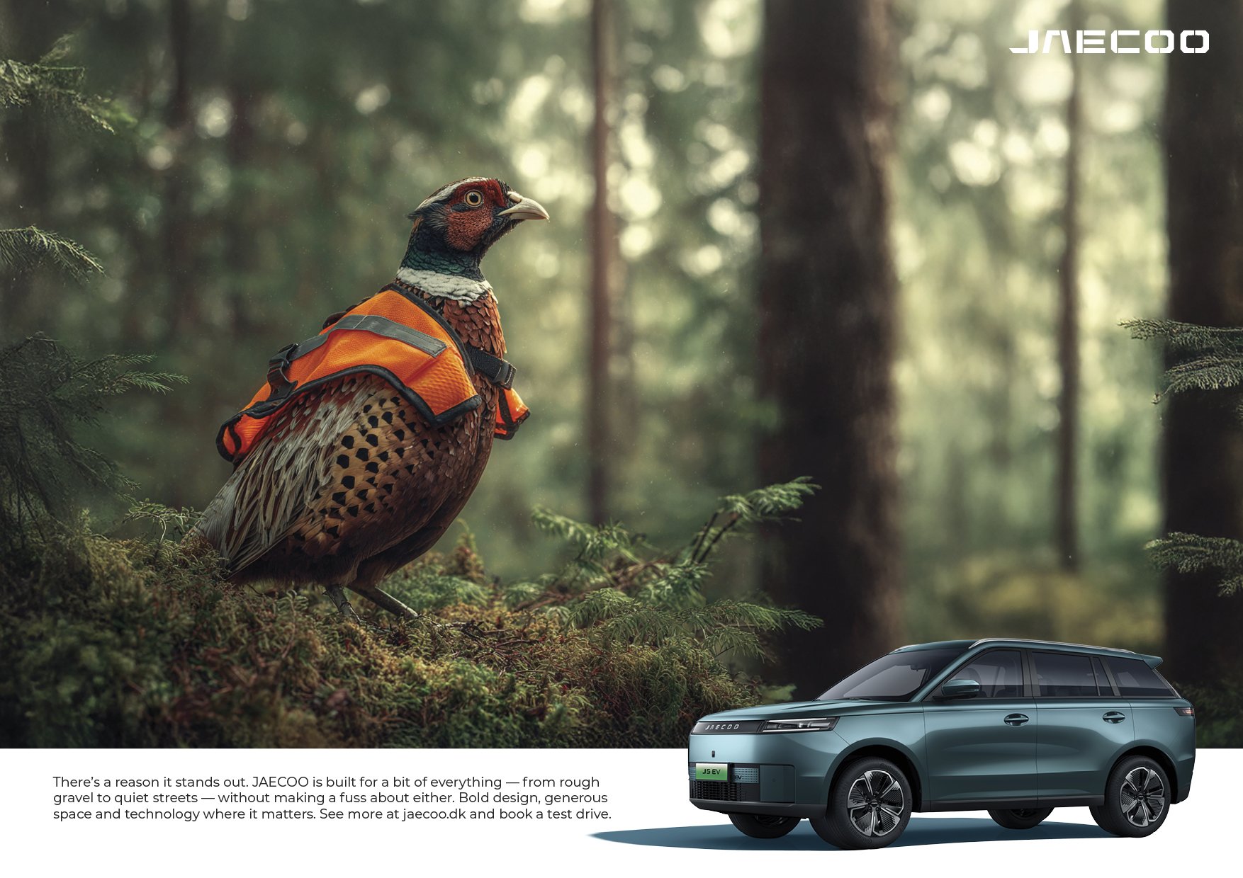 Jaecoo - ads3.jpg
