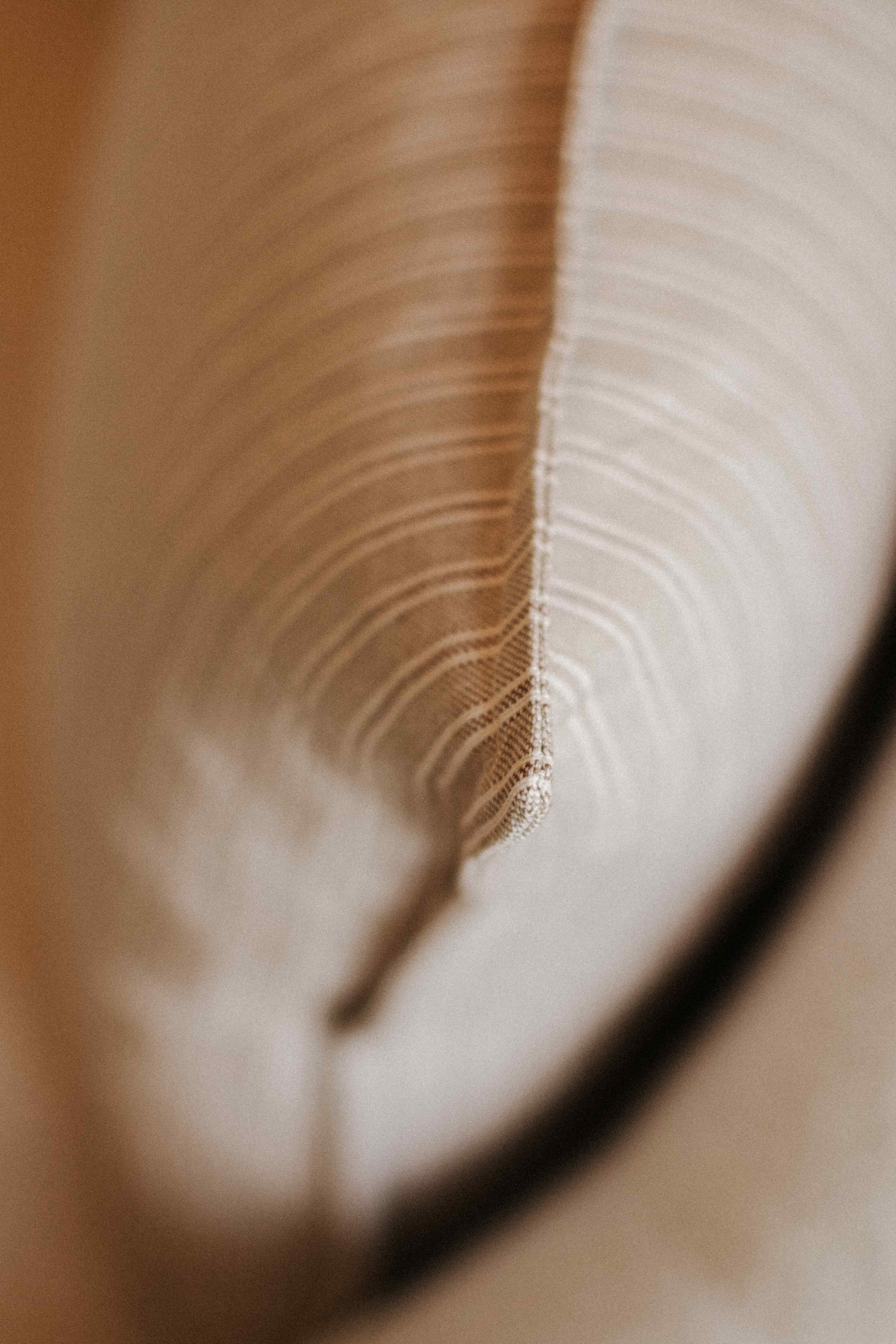 georgina-ticking-stripe-detail.jpeg