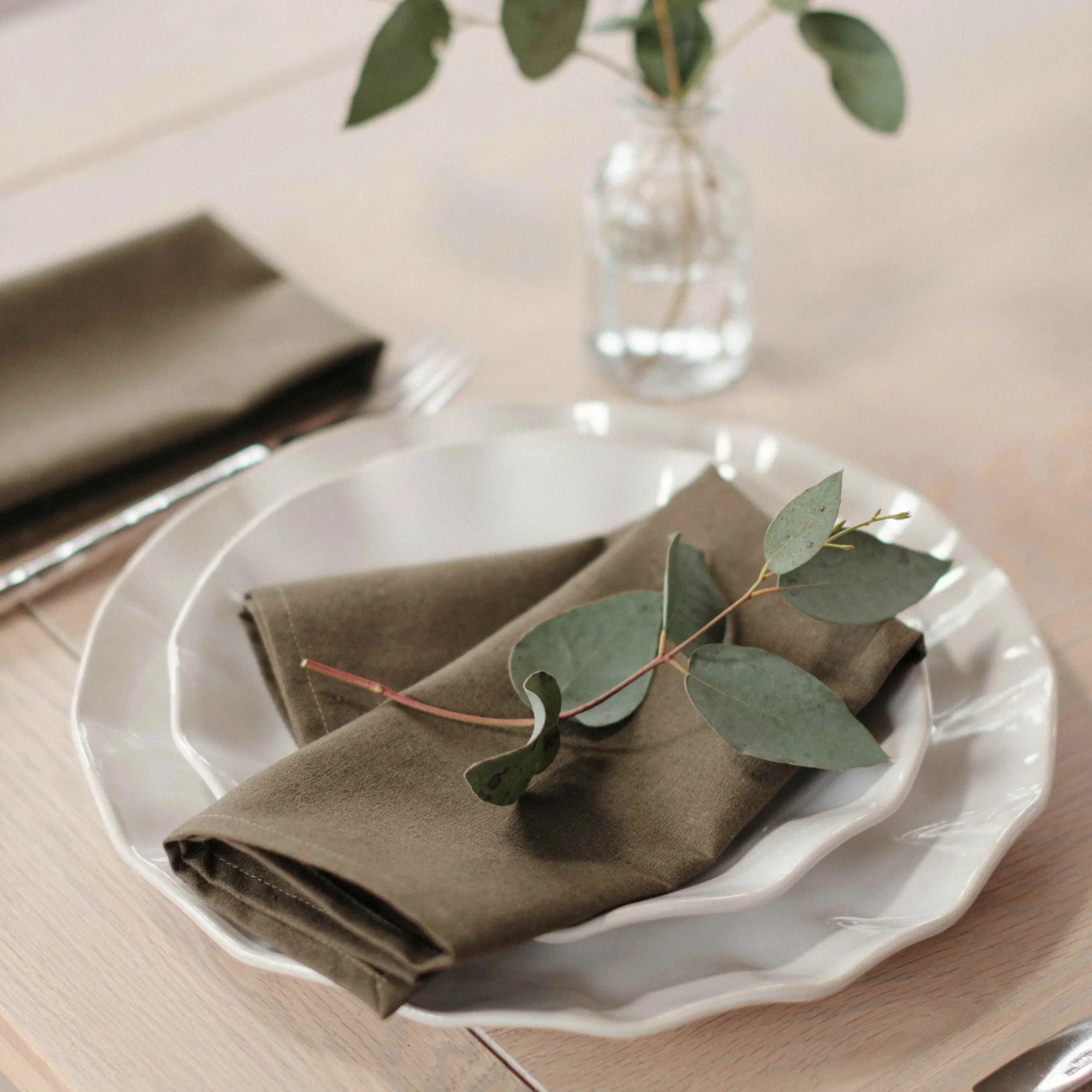 olive-napkins-lifestyle.jpg