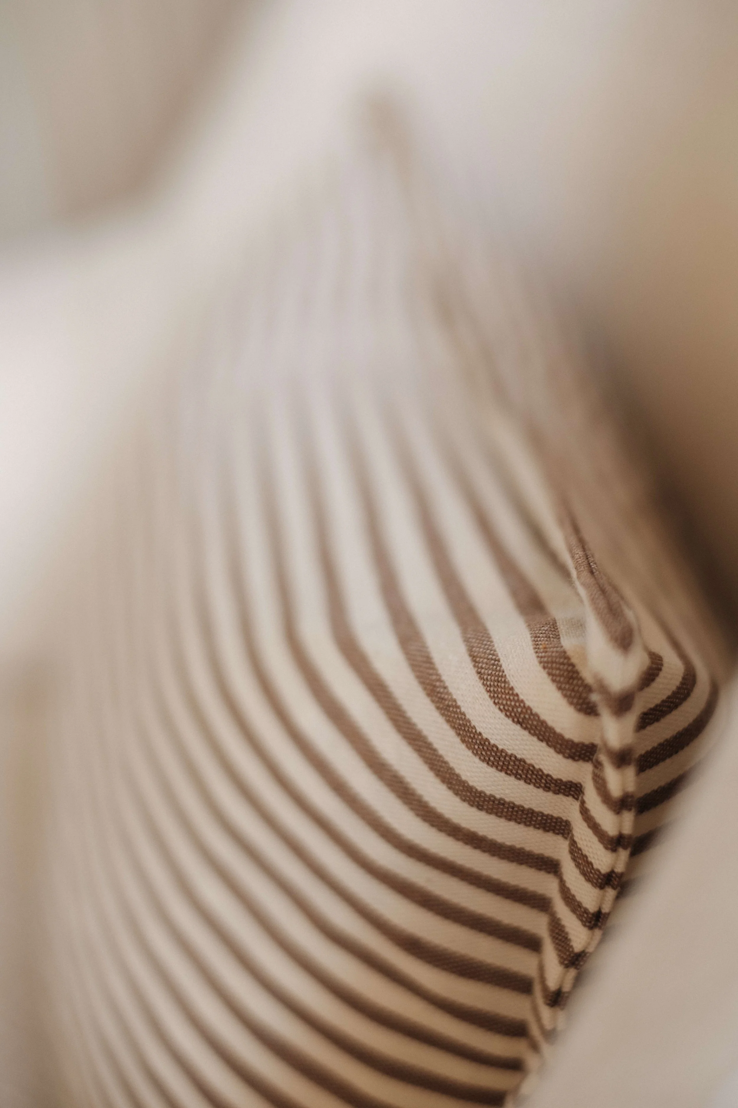 sophie-detail.jpg