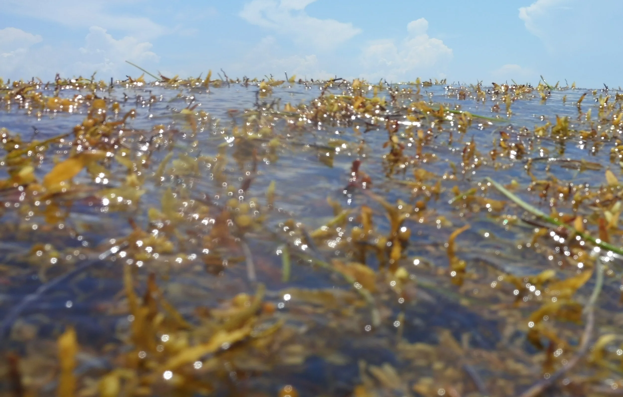 Target 9 Scale Up.JPG