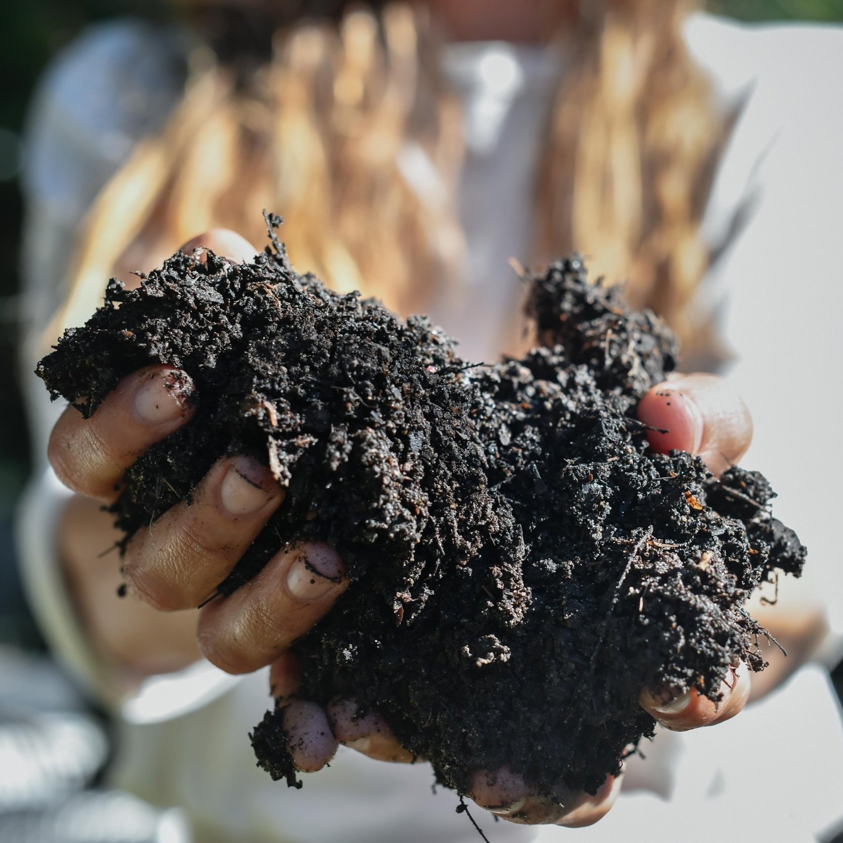 SEED+THE+GROUND+%283+of+4%29.jpg