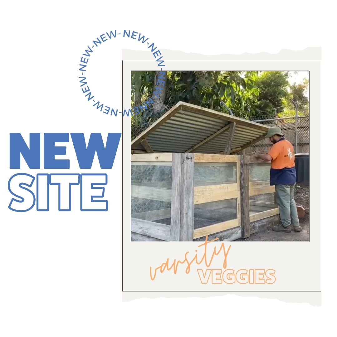 Varsity Veggies Compost Hub is open 🌱

Join us at 9am on Monday the 15th of April for some snacks and a tour of the Hub and gardens.

Address: Jim Harris Park, Mattocks Rd, Varsity Lakes

Can't wait to show off our new sexy compost bays and get them