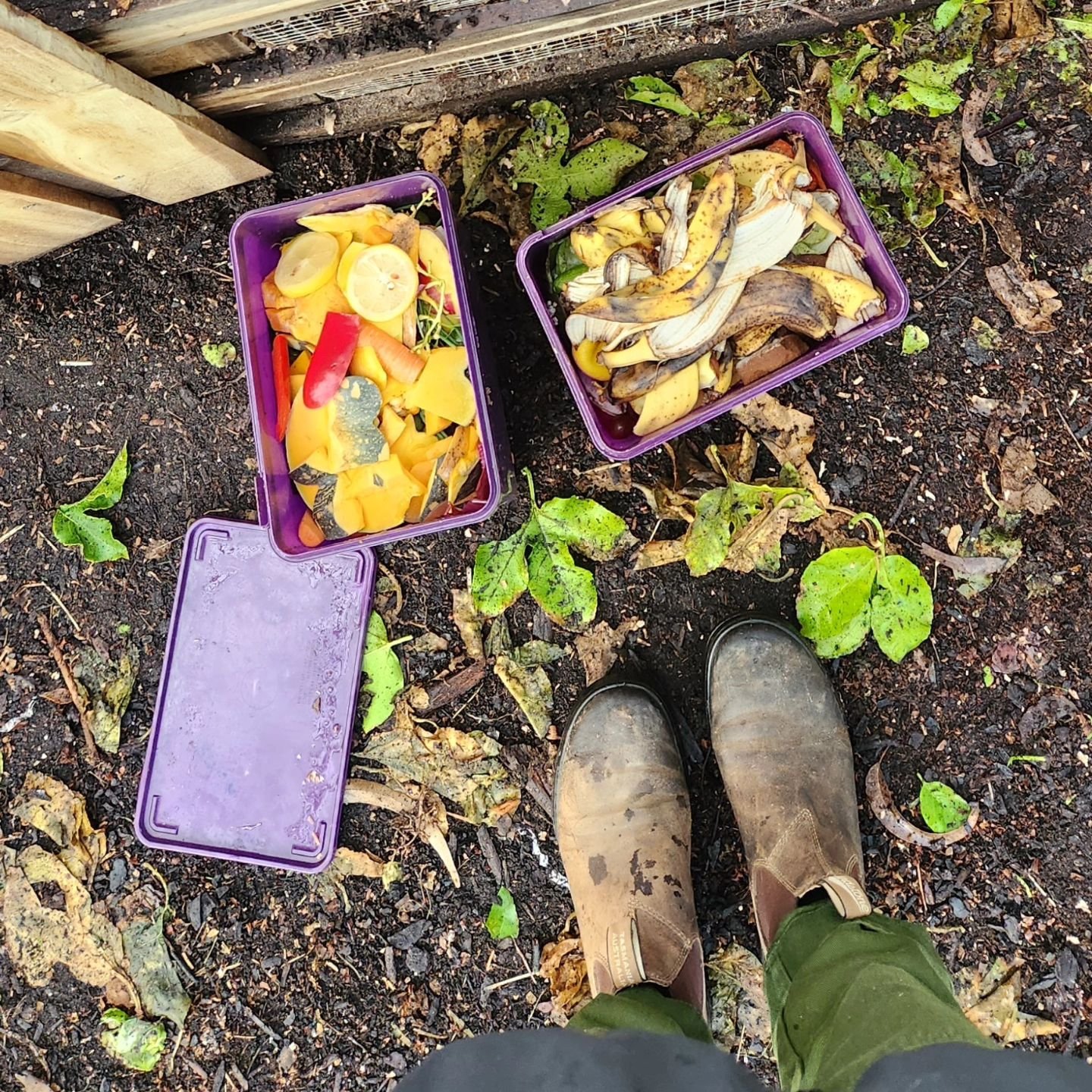 A compost rainbow 🌈 

Sign up to Swap and Go and we'll compost your food scraps for you! 

You'll get a kitchen caddy to collect your kitchen scraps. All you need to do is drop them to a Swap Station and swap your full caddy for a fresh one. We'll t