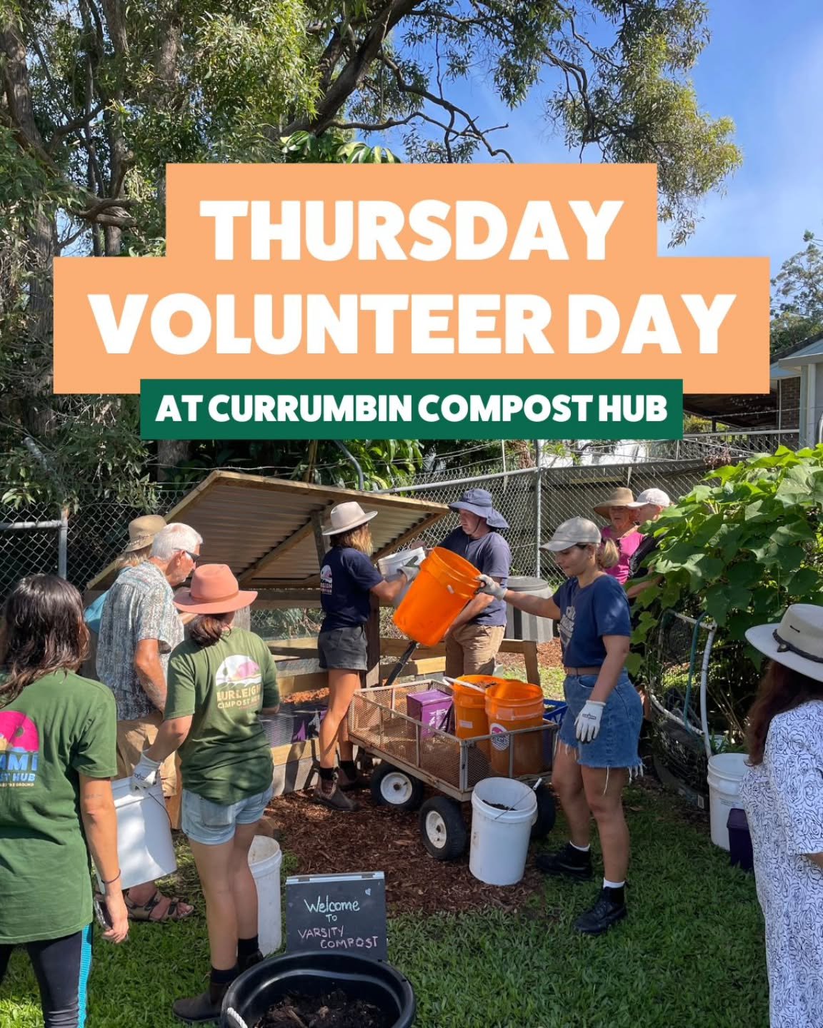 Come and join us at Currumbin on Thursdays!

We'll be composting at our Currumbin Hub every Thursday morning from 9:30am - 11am. Want to join us? Register to volunteer on our website or pop in with a hat and covered shoes and get ready to get your ha