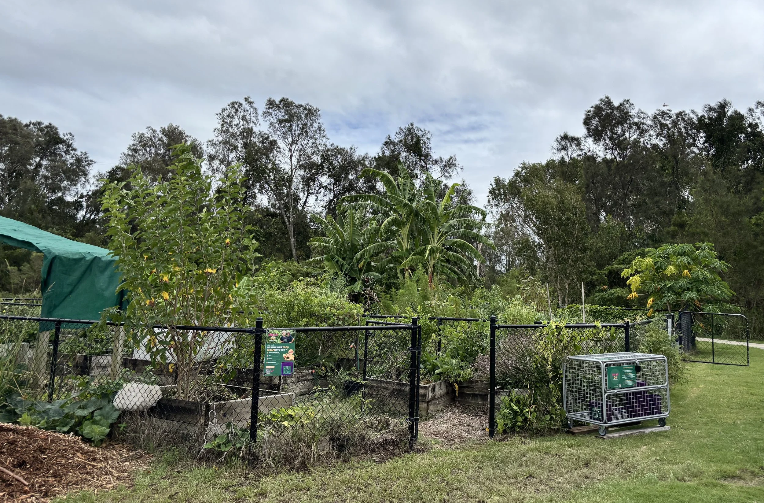 Robina Swap & Go Cage