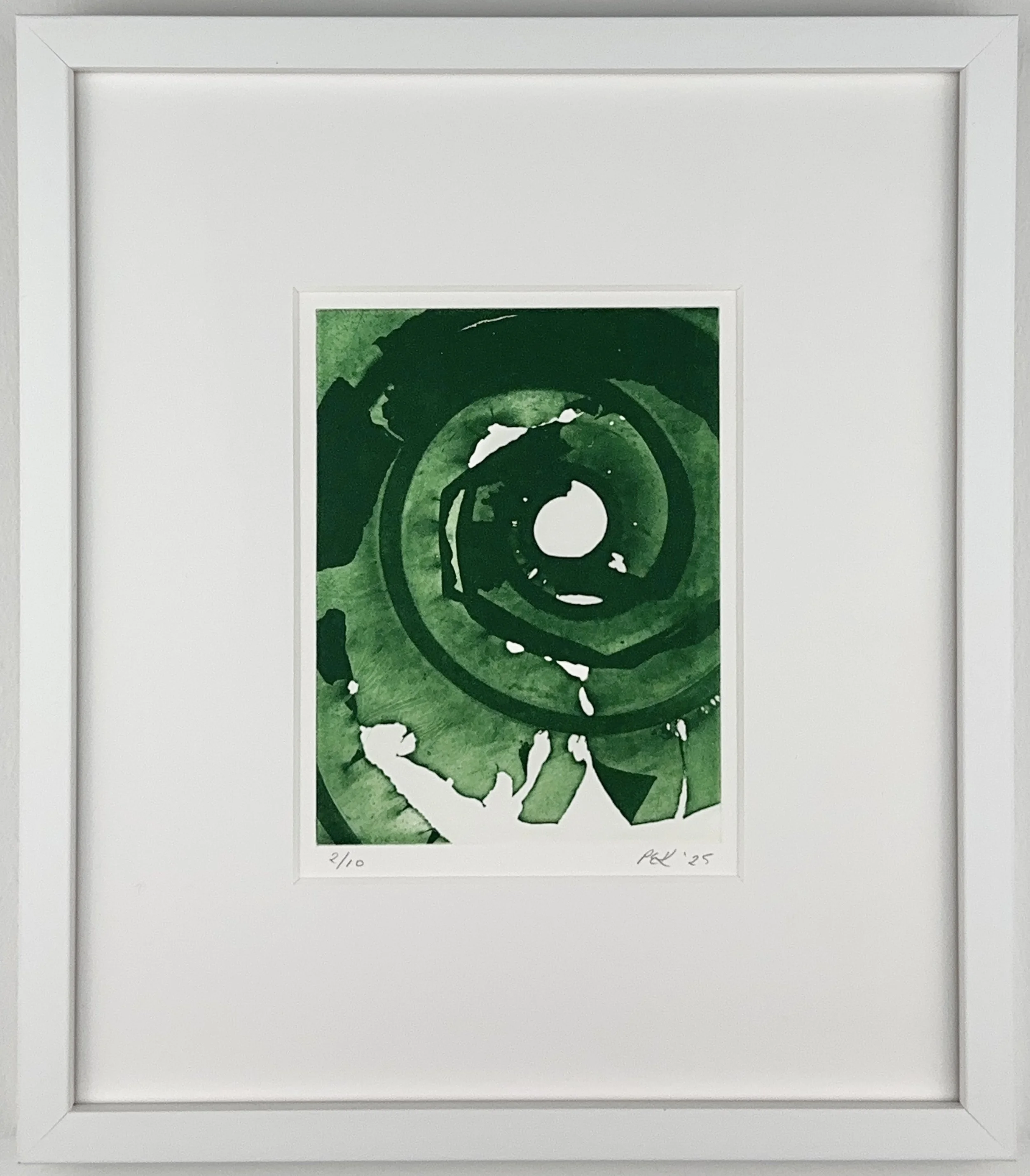 Dabberlocks 2. Portia Knight. Seaweed Art. Cameraless polymer photogravure