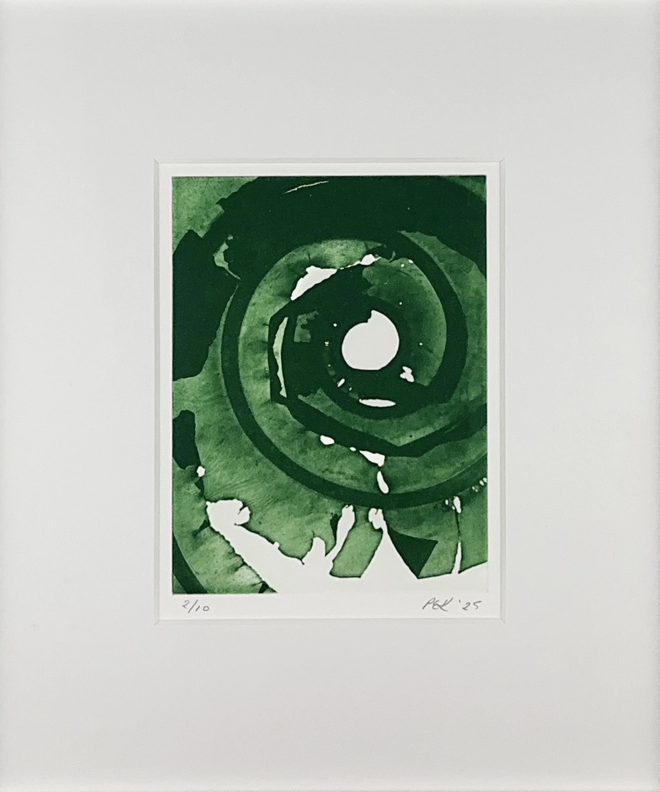 Dabberlocks 2. Portia Knight - print of seaweed - photogravure