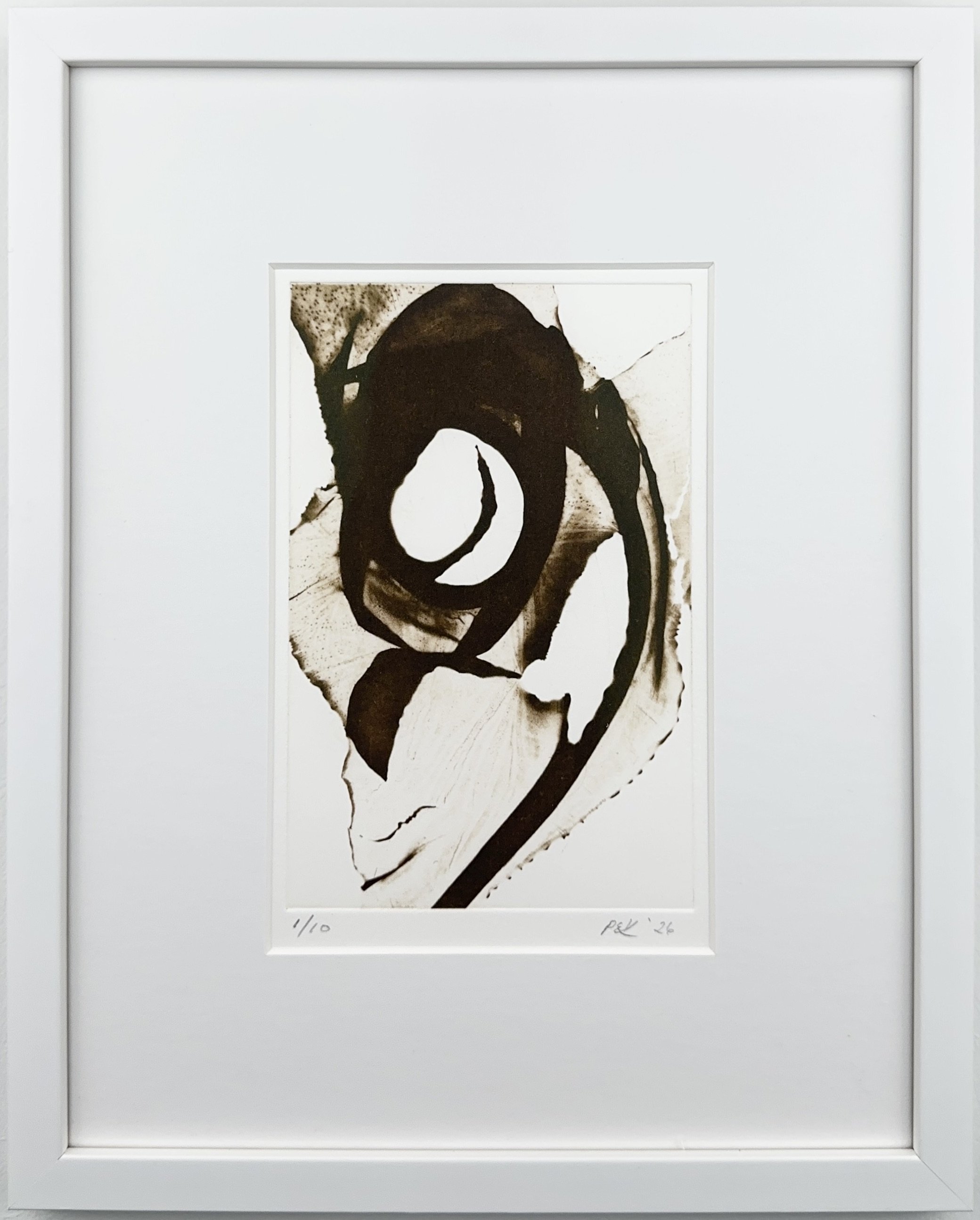 Relic: Dabberlocks 3. Portia Knight. Seaweed Art. Cameraless polymer photogravure