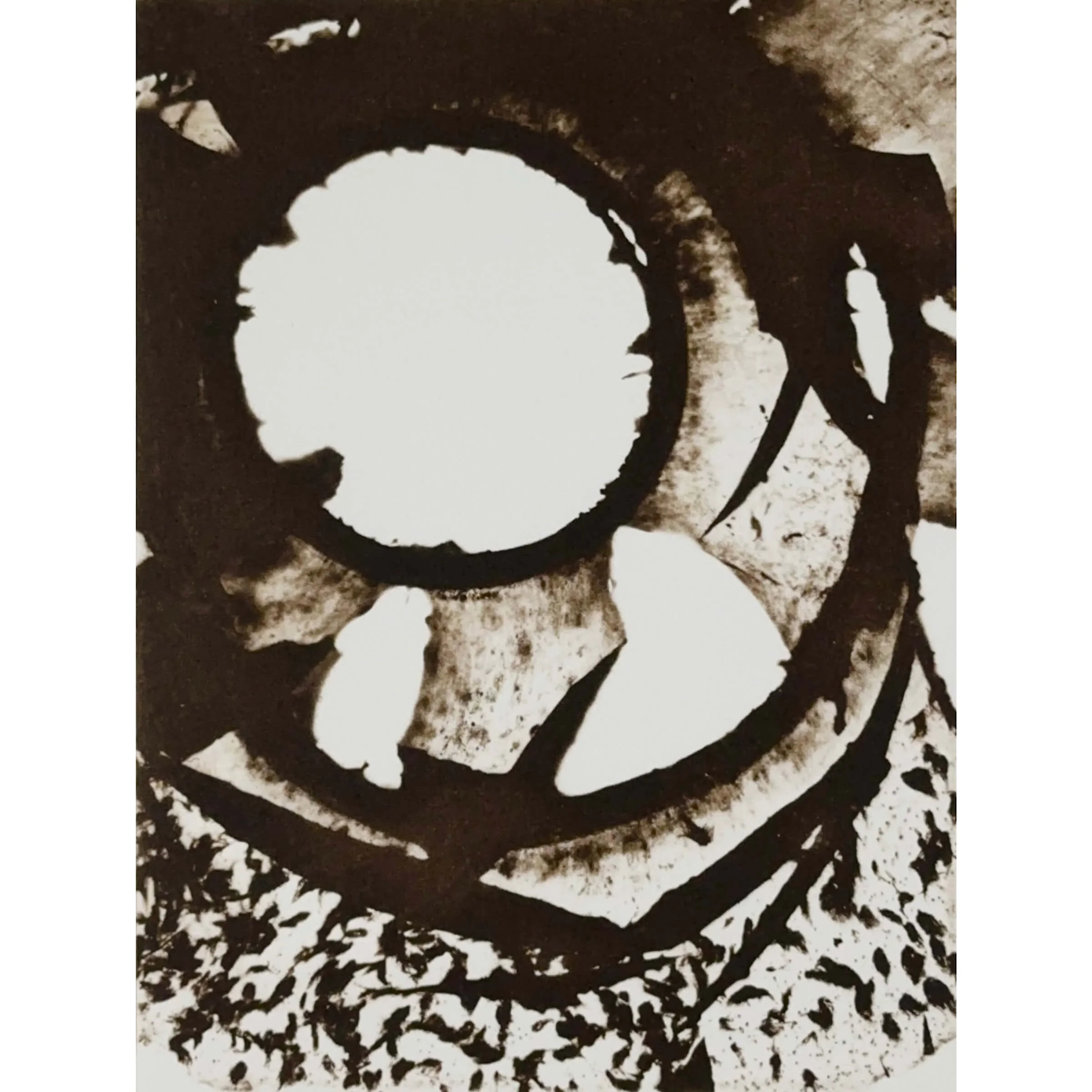 Relic: Dabberlocks 1 By Portia Knight - Framed Edition